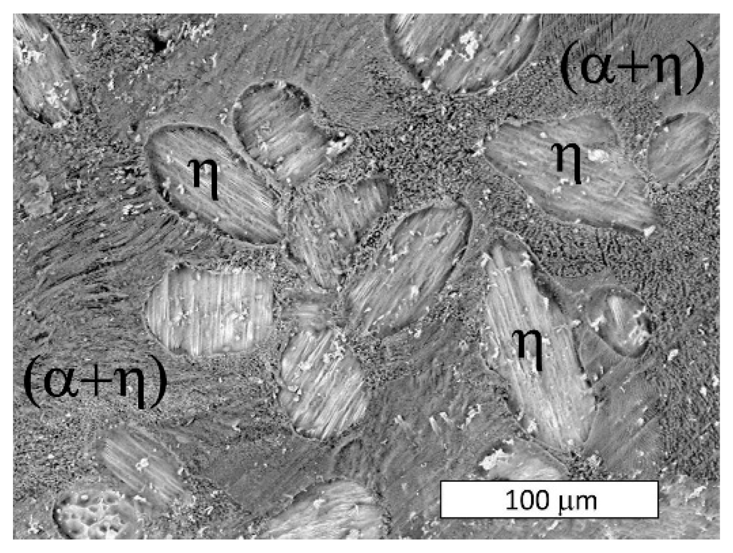 Materials 13 01703 g013