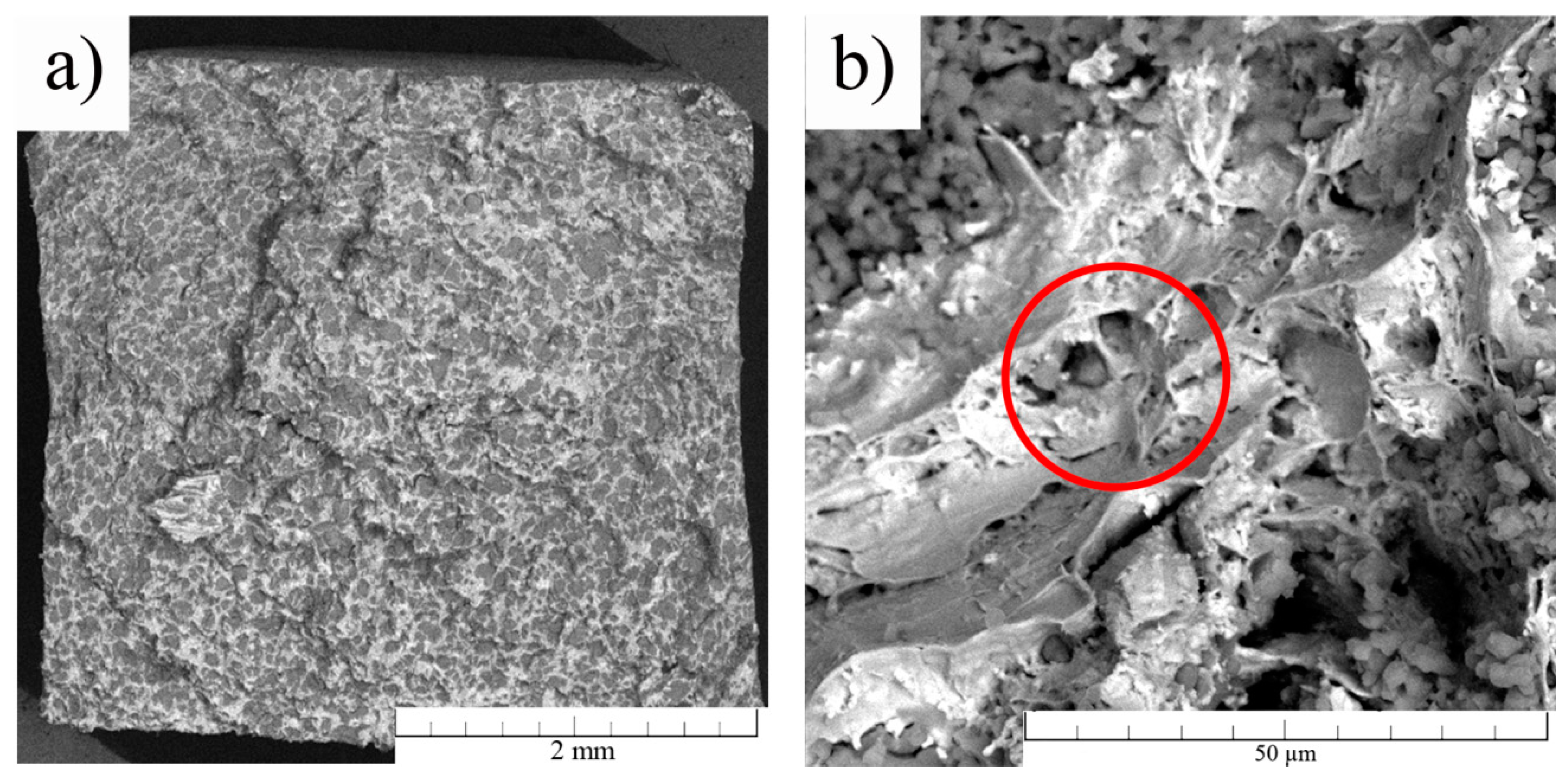 Materials 13 01716 g006