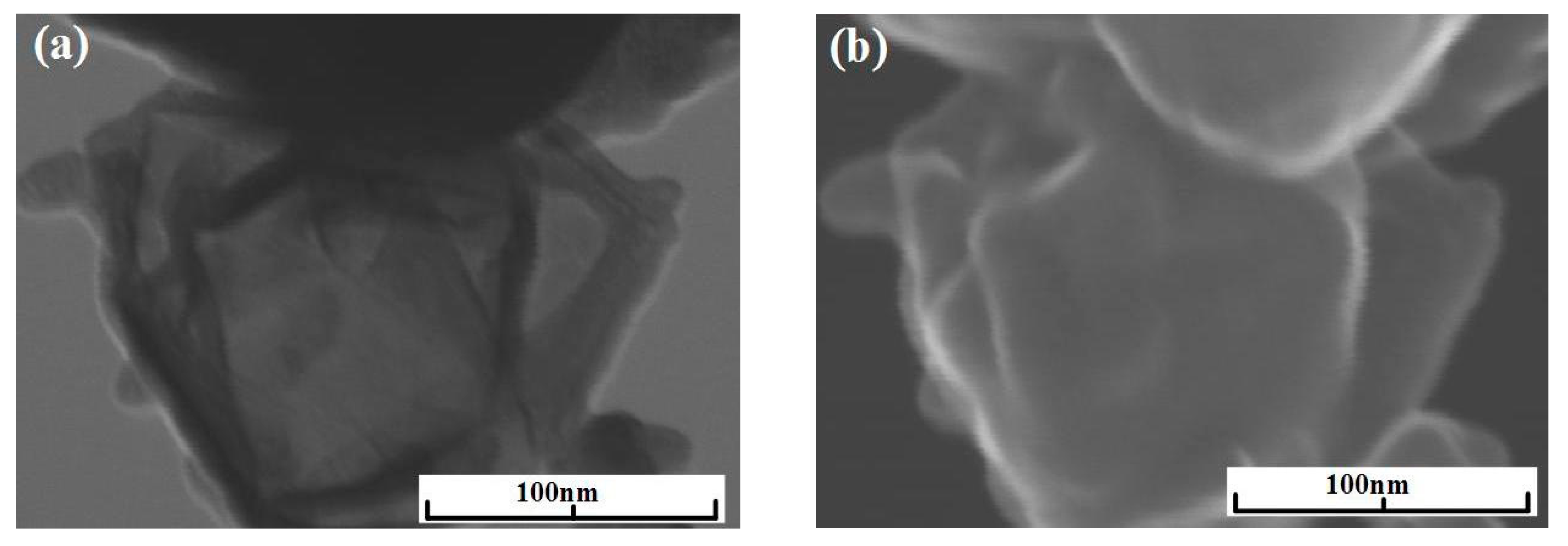 Materials 13 01728 g007