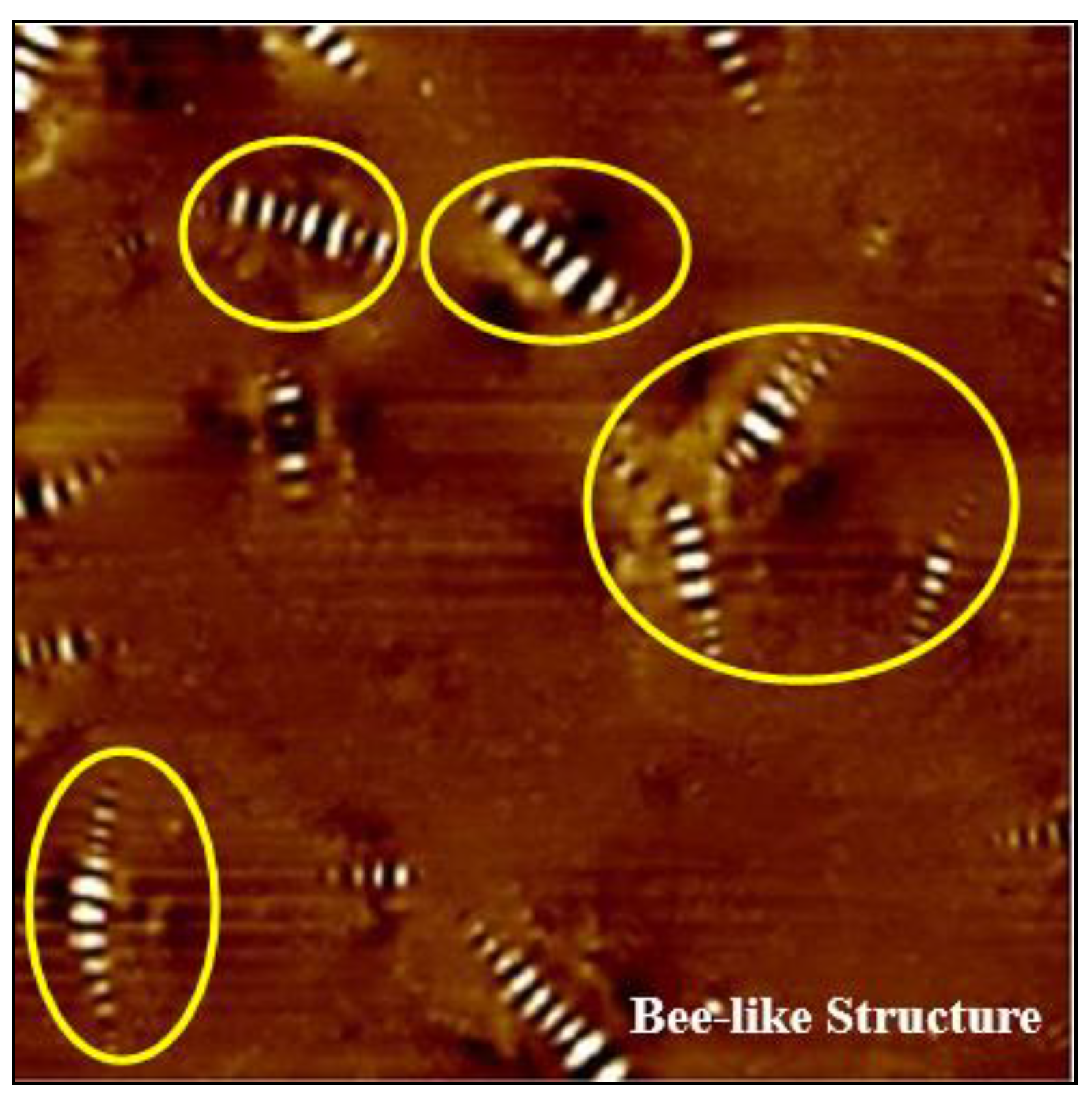 Materials 13 01736 g005