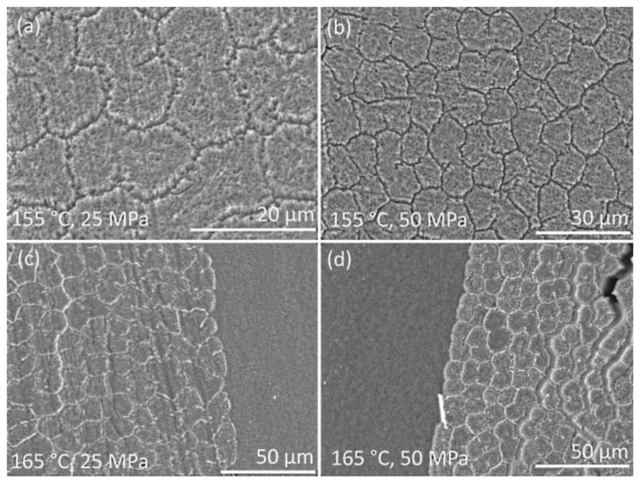 Materials 13 01739 g006 Materials 13 01739 g006