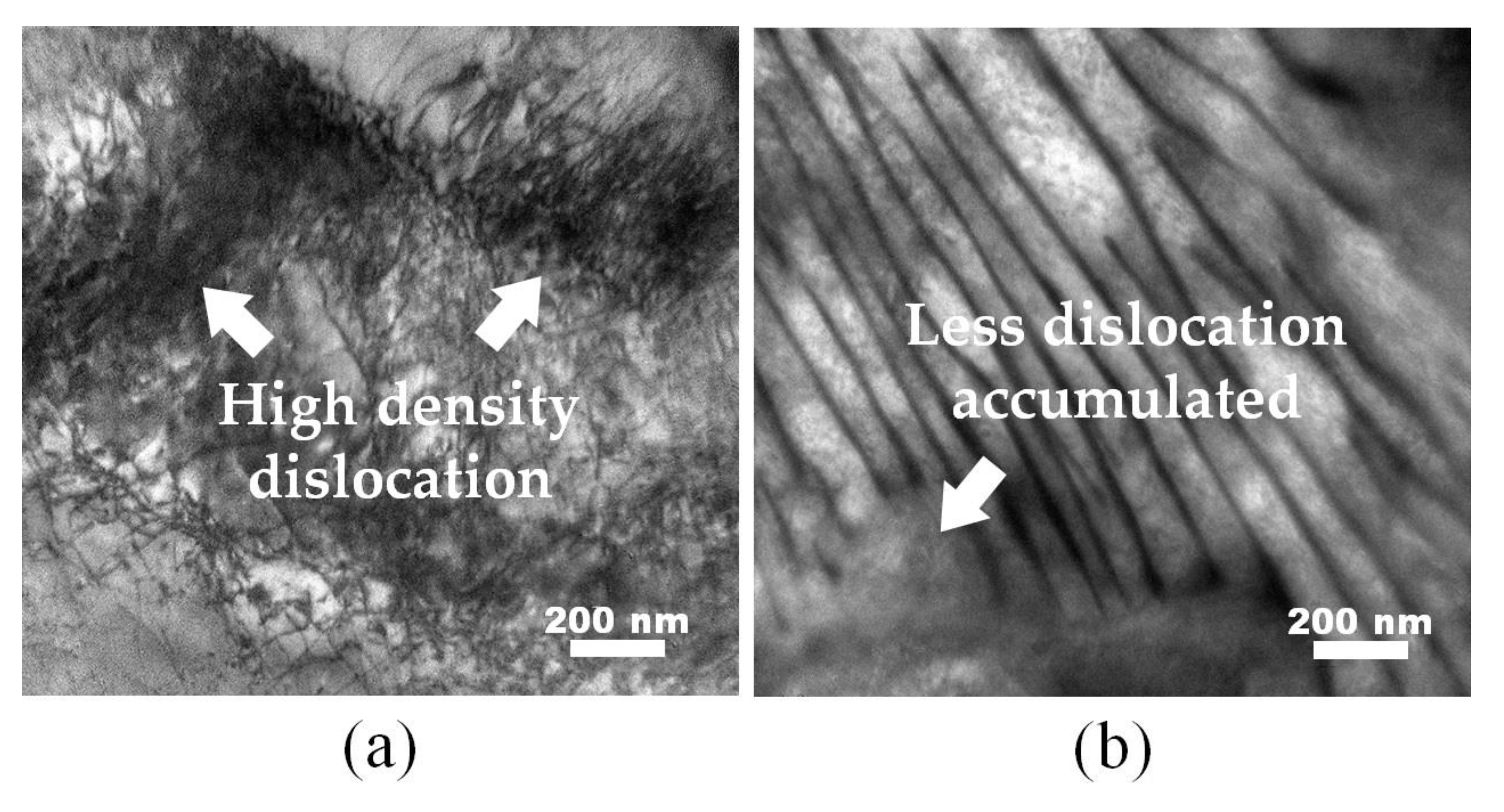 Materials 13 01741 g006