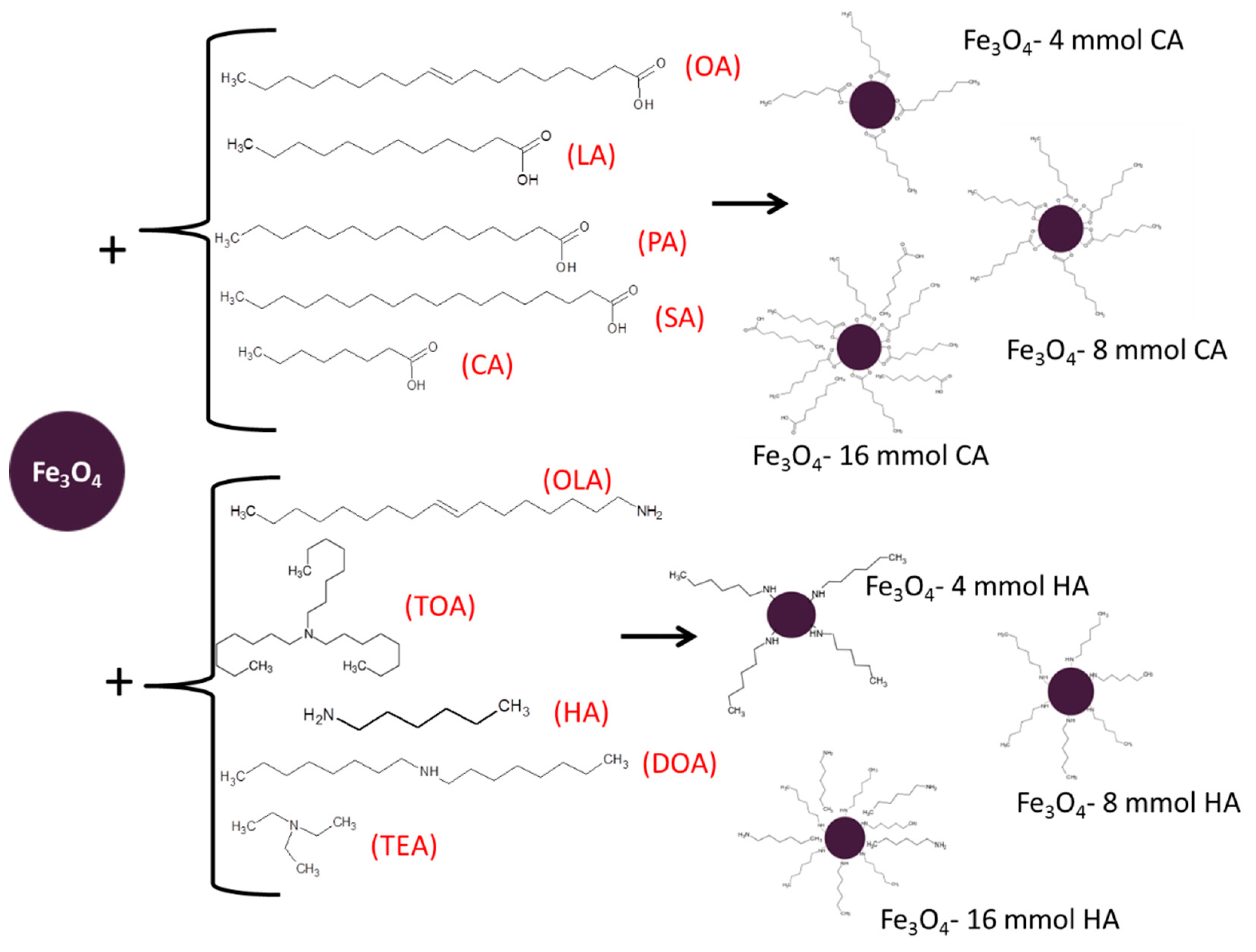 Materials 13 01747 g001