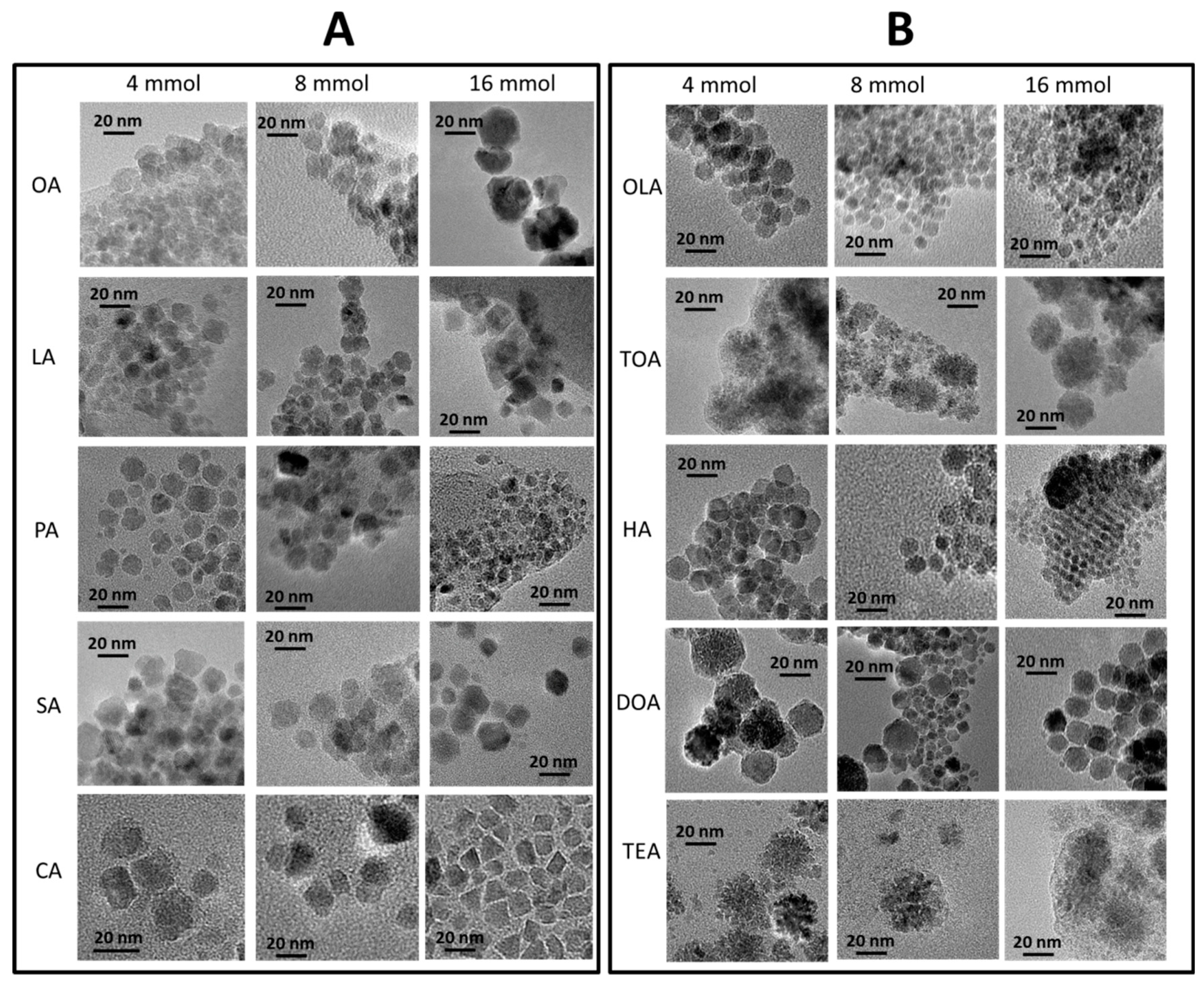 Materials 13 01747 g002