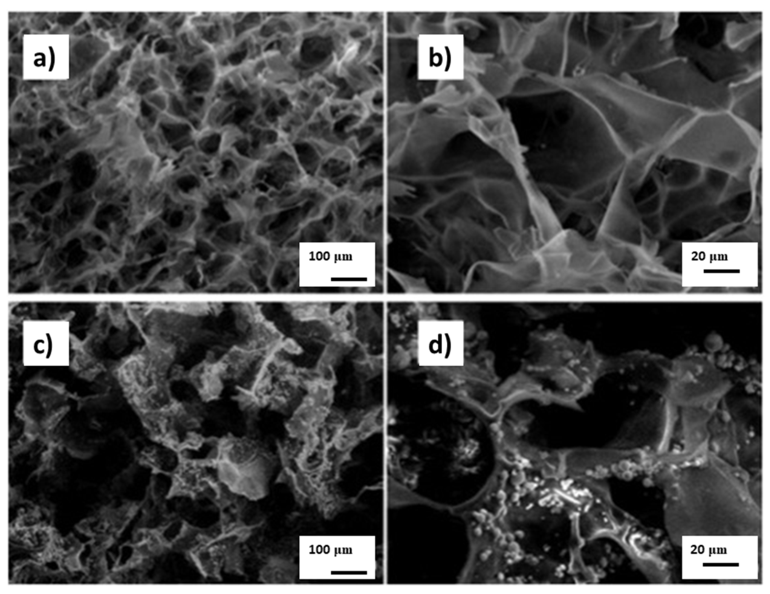 Materials 13 01748 g002