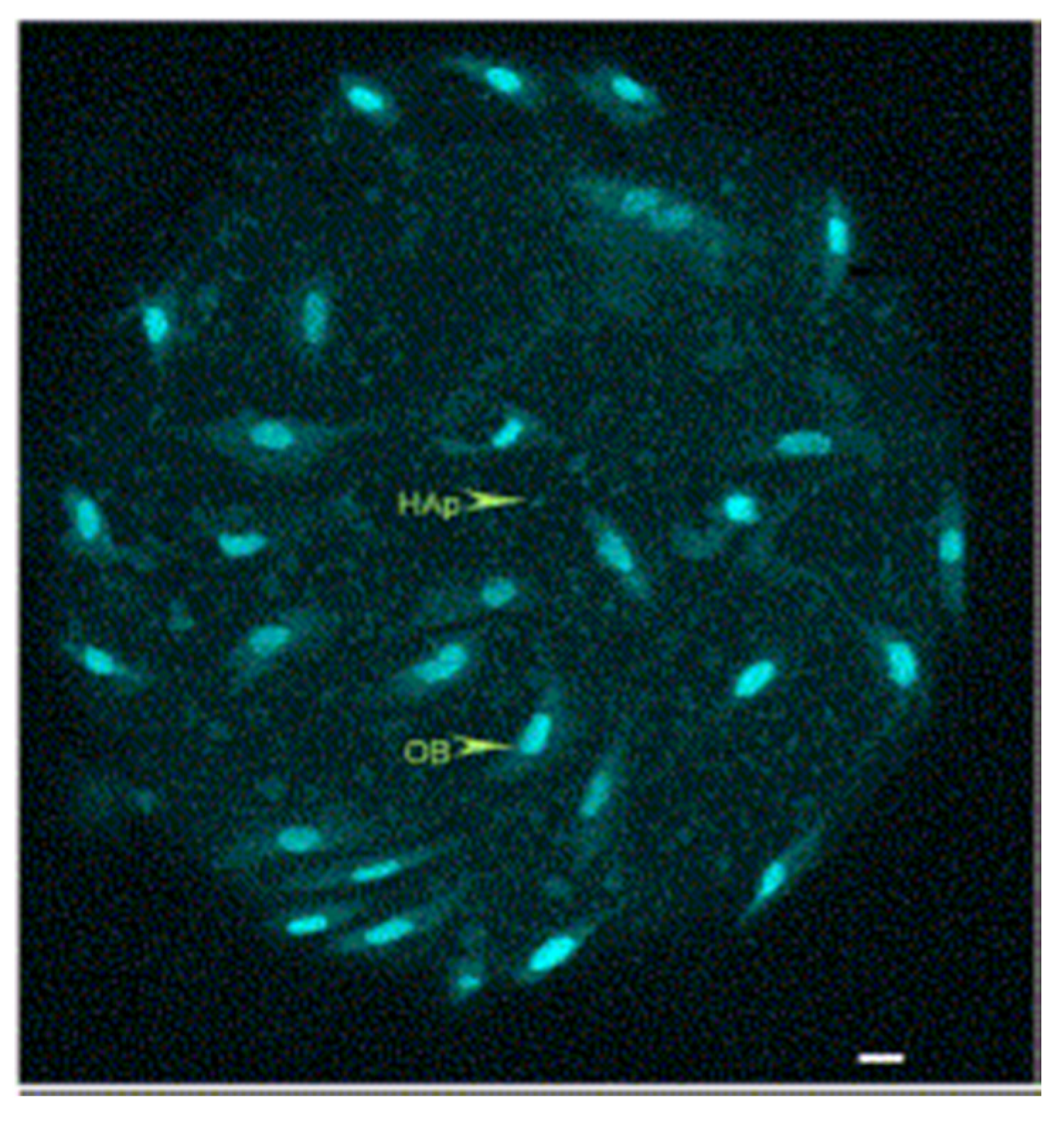 Materials 13 01748 g005