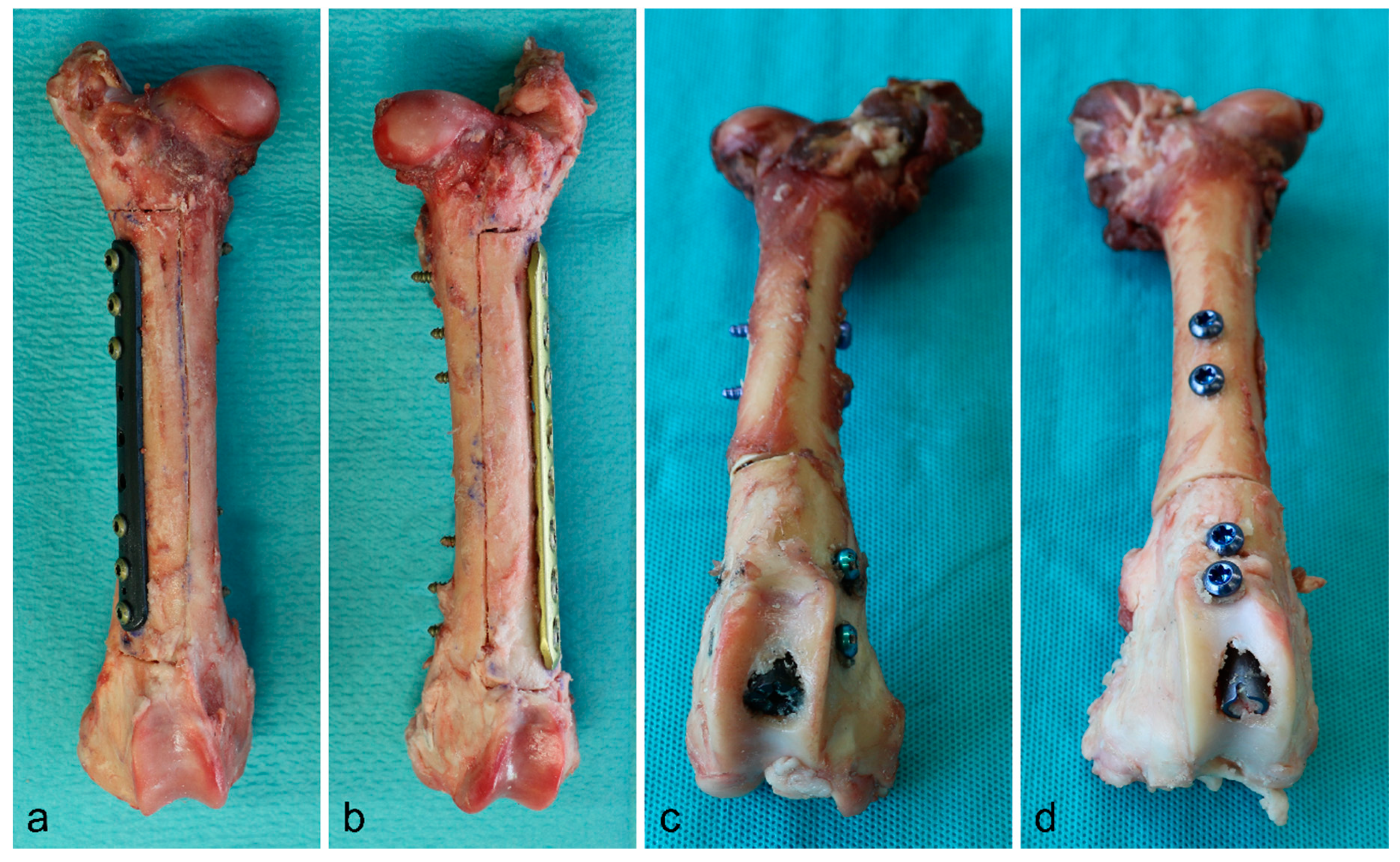 Materials 13 01754 g001