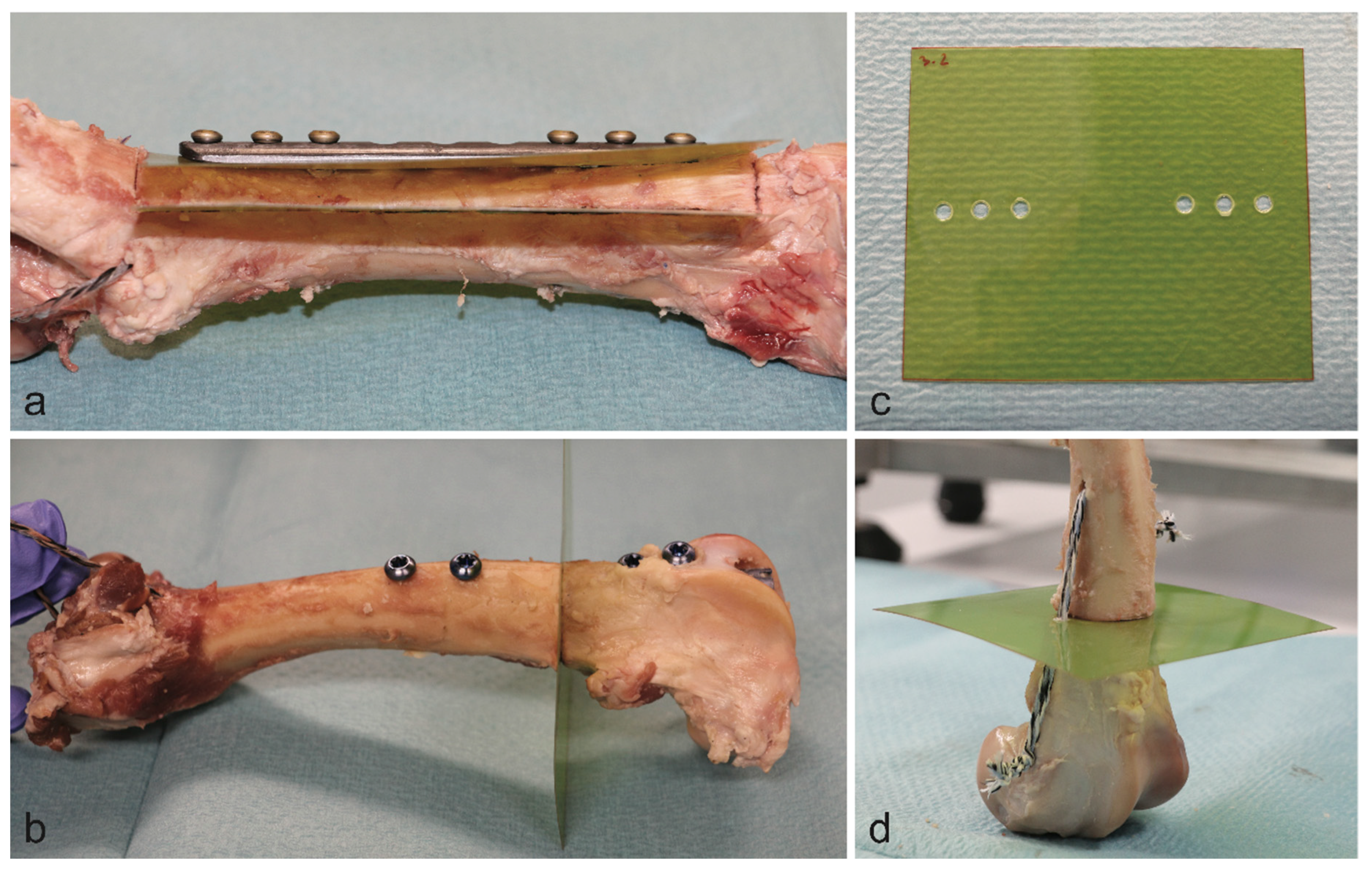 Materials 13 01754 g002