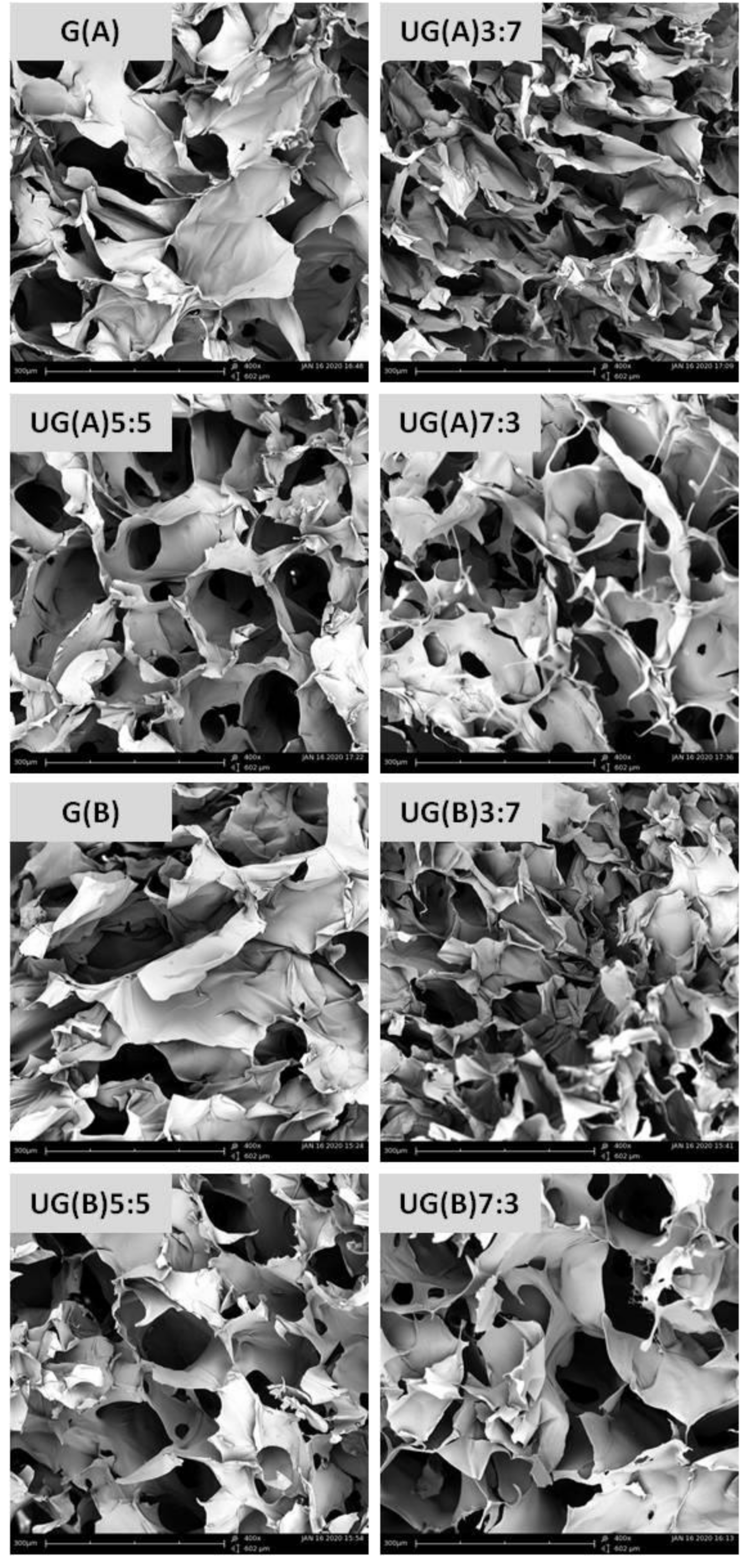 Materials 13 01763 g002