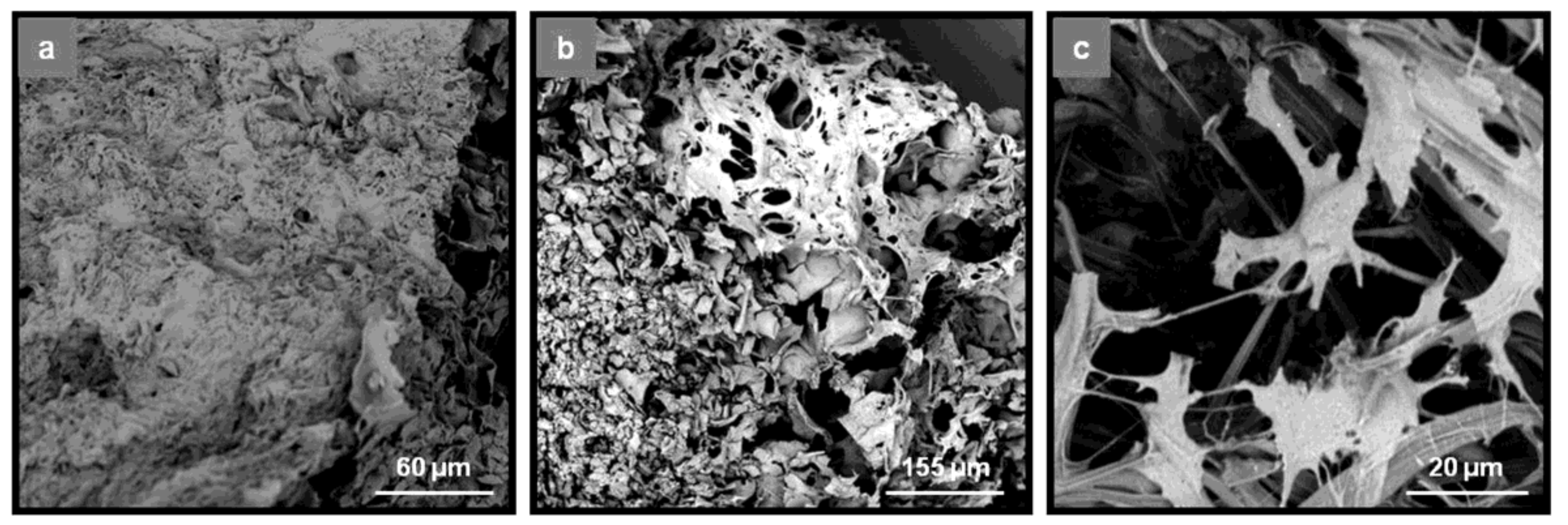 Materials 13 01763 g009