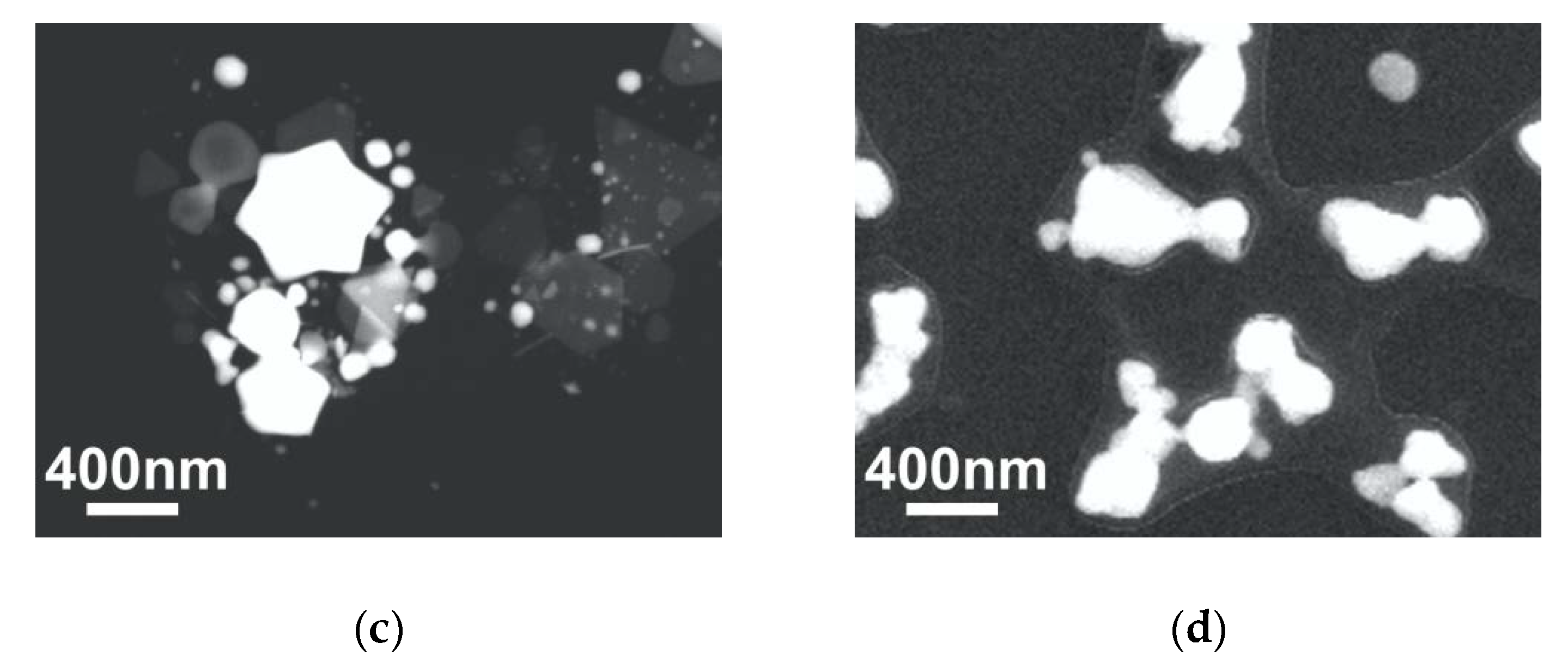 Materials 13 01767 g003b