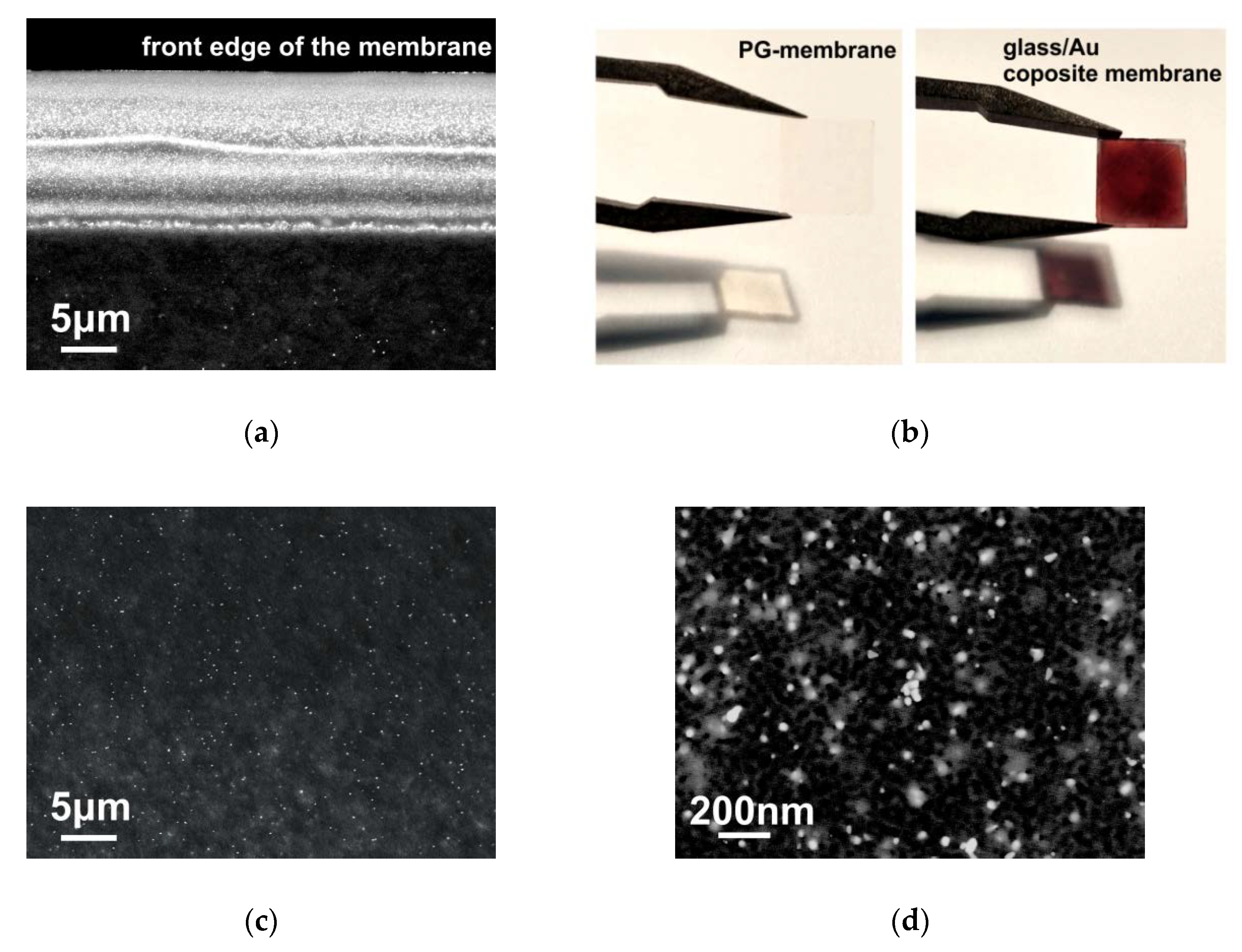 Materials 13 01767 g004