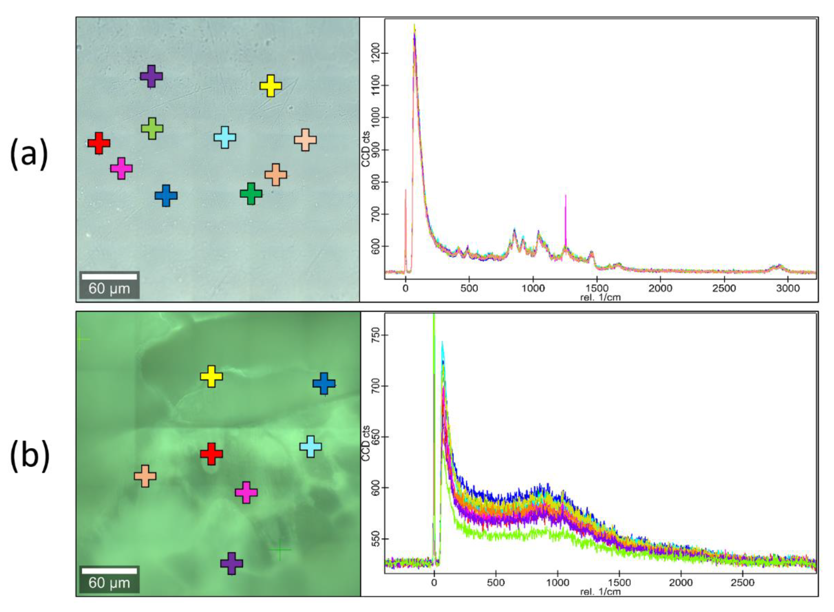 Materials 13 01771 g005 Materials 13 01771 g005
