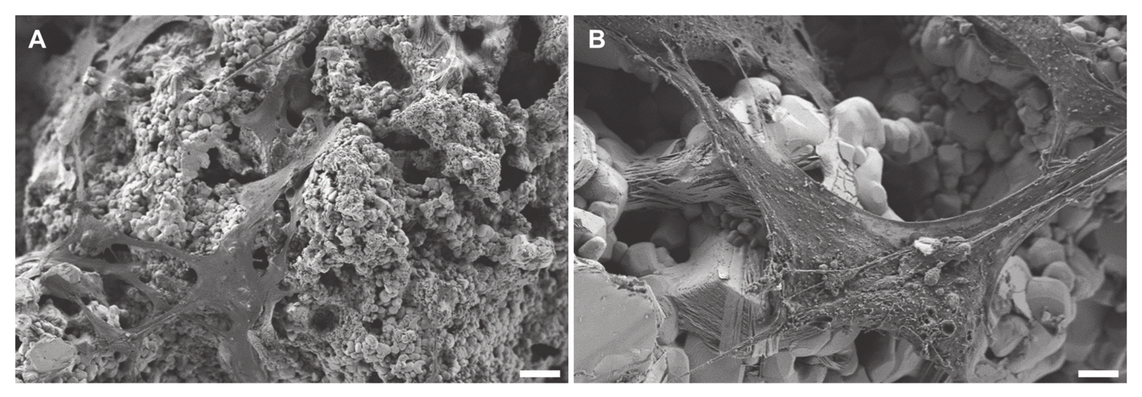 Materials 13 01773 g011