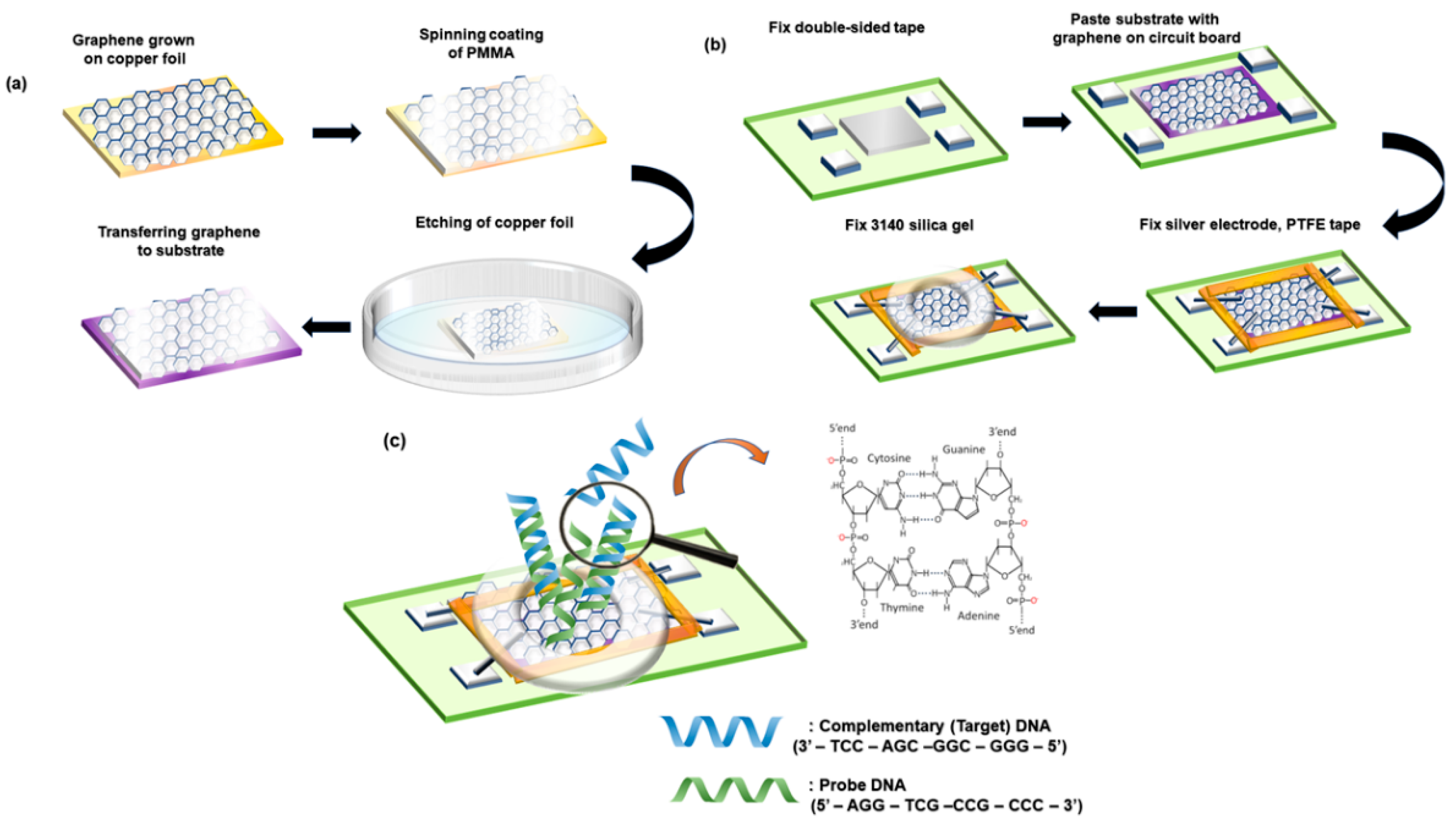 Materials 13 01784 g001 Materials 13 01784 g001