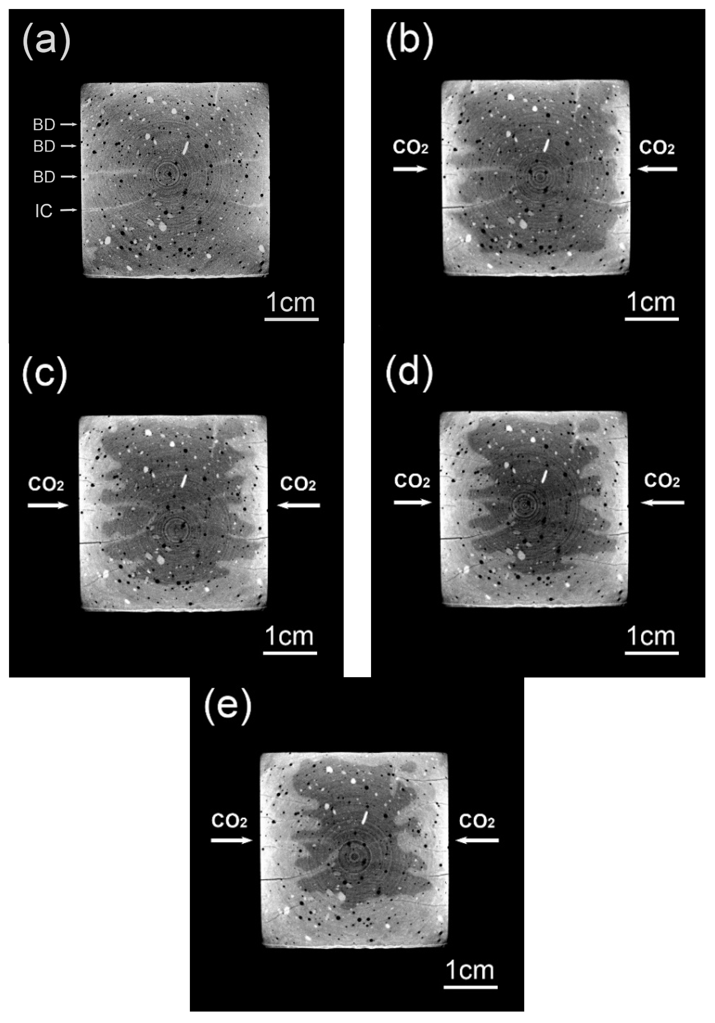 Materials 13 01804 g004