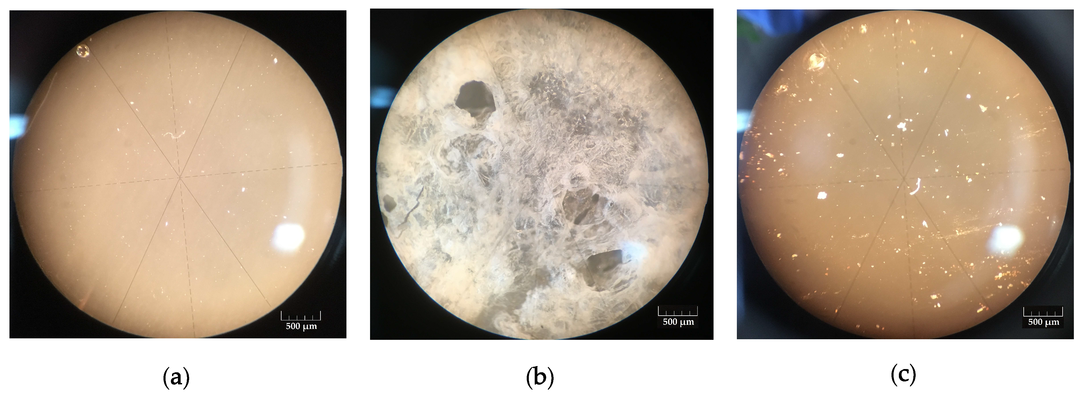 Materials 13 01808 g002