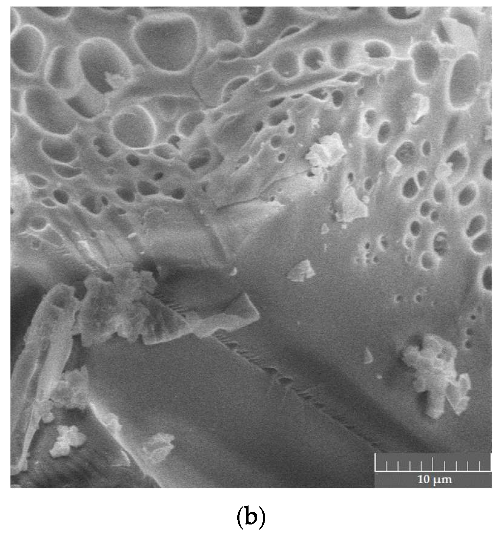 Materials 13 01808 g010b