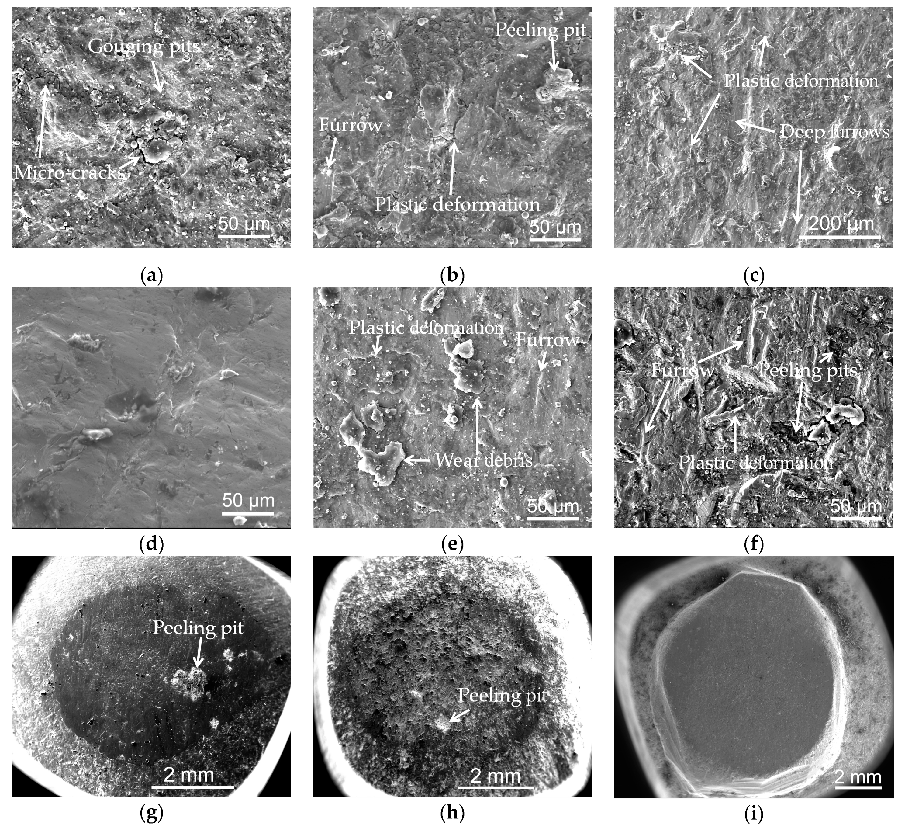 Materials 13 01818 g009a