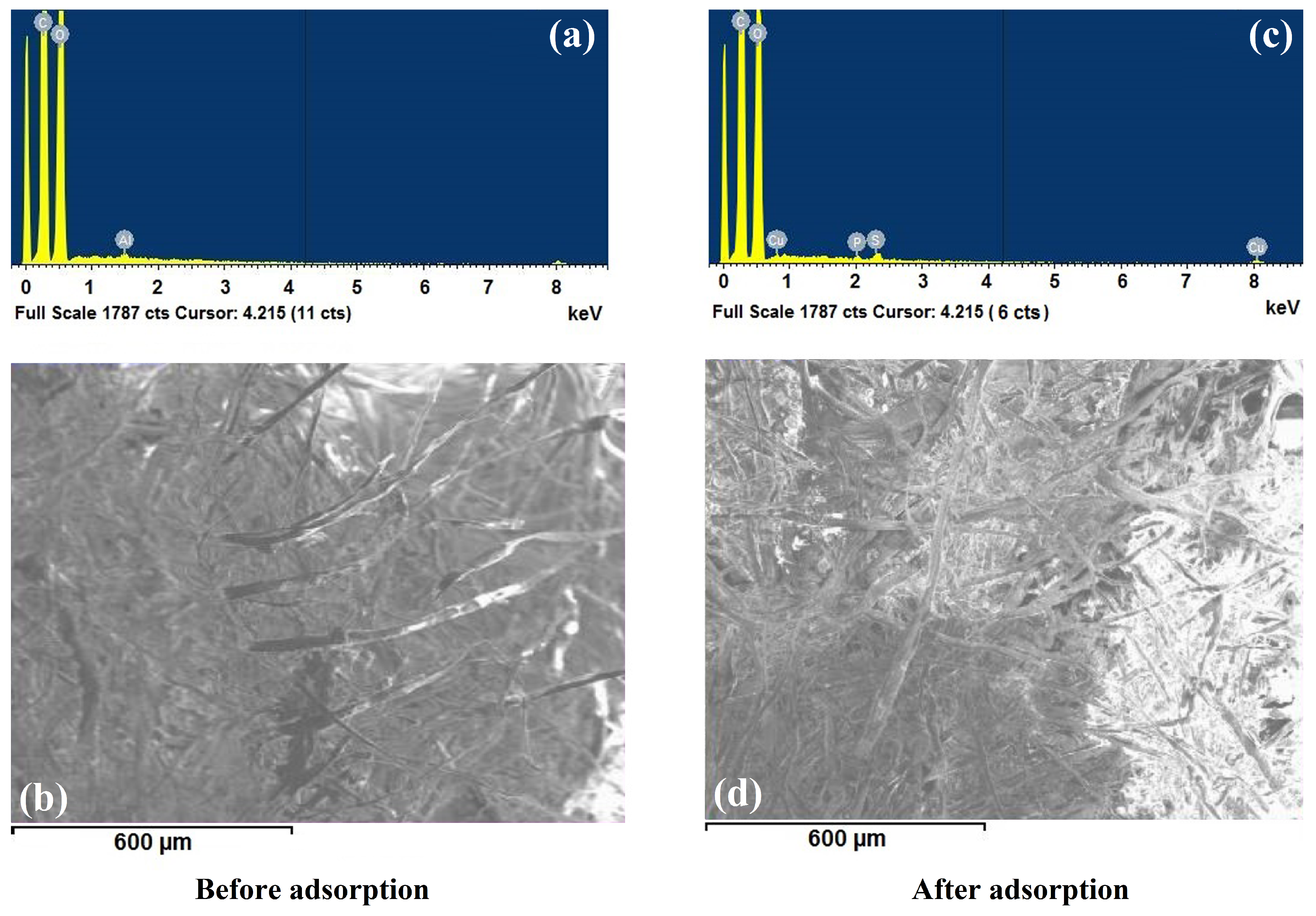 Materials 13 01824 g003
