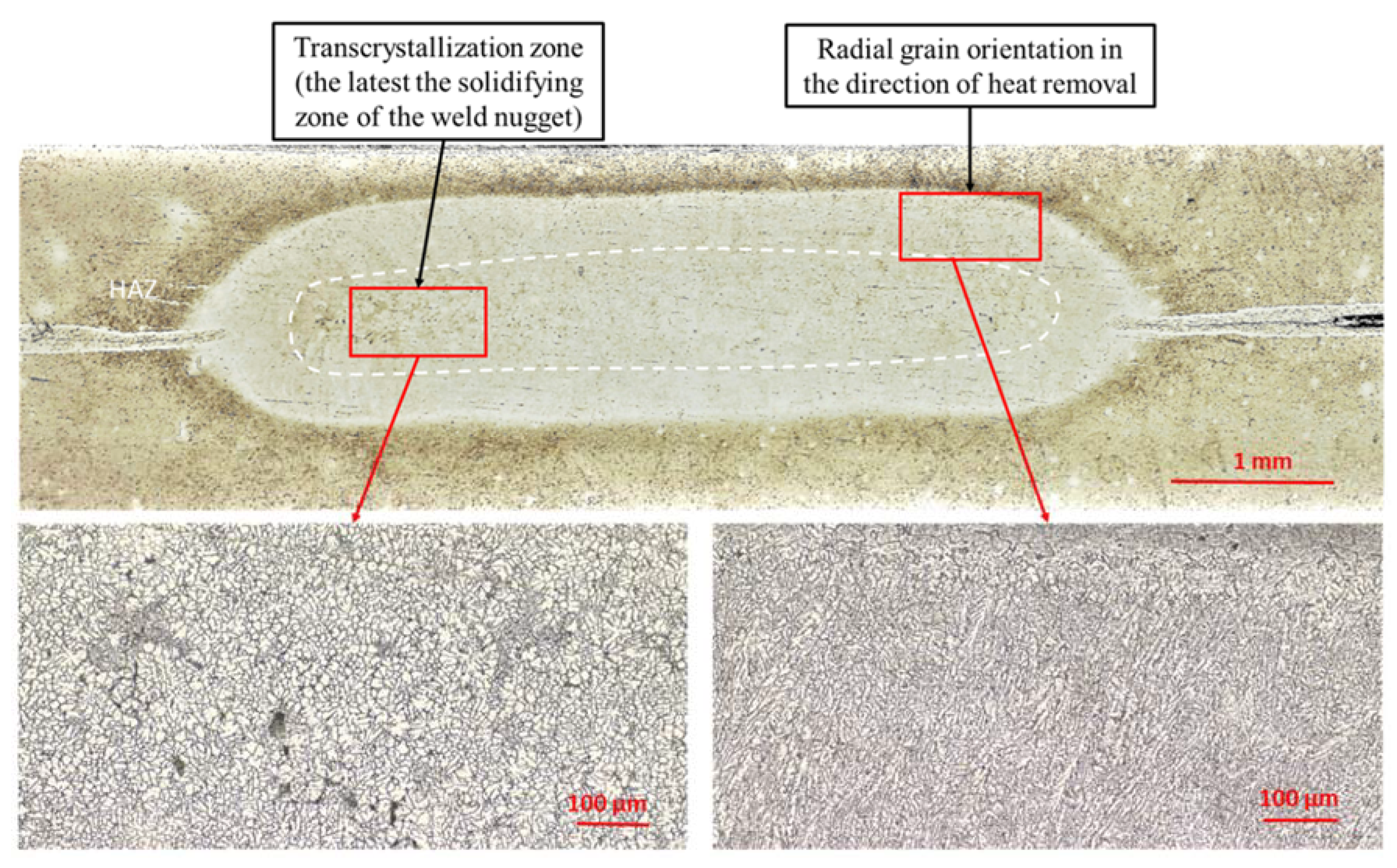 Materials 13 01841 g006