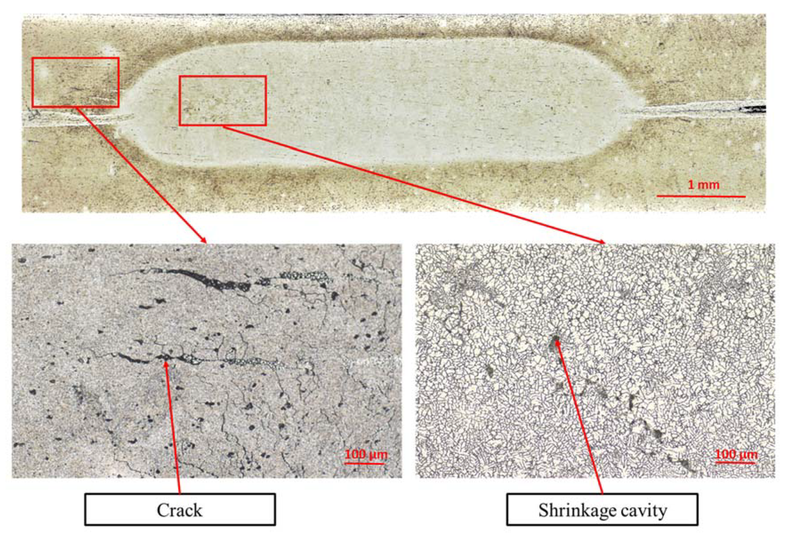 Materials 13 01841 g007