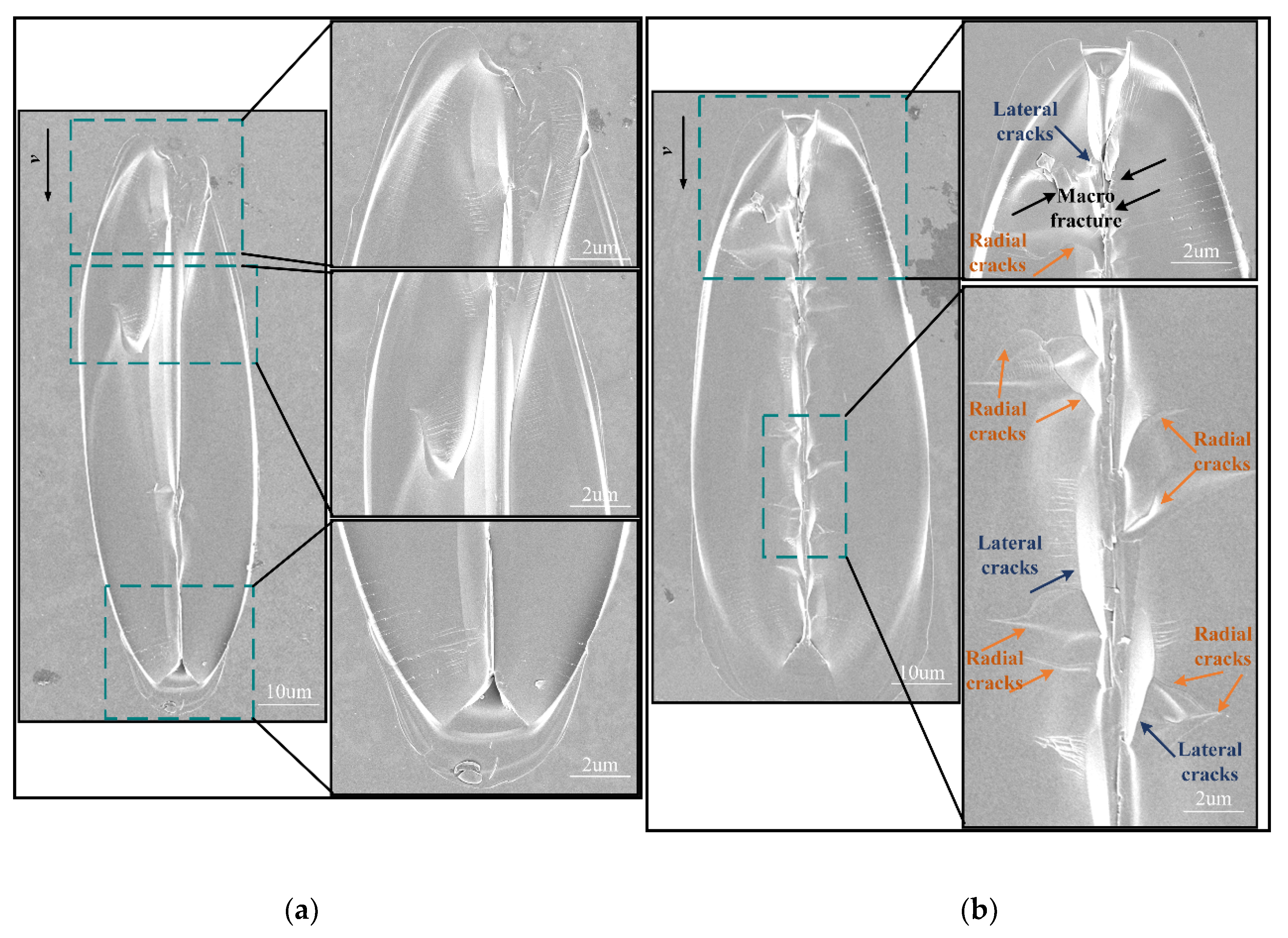 Materials 13 01842 g007