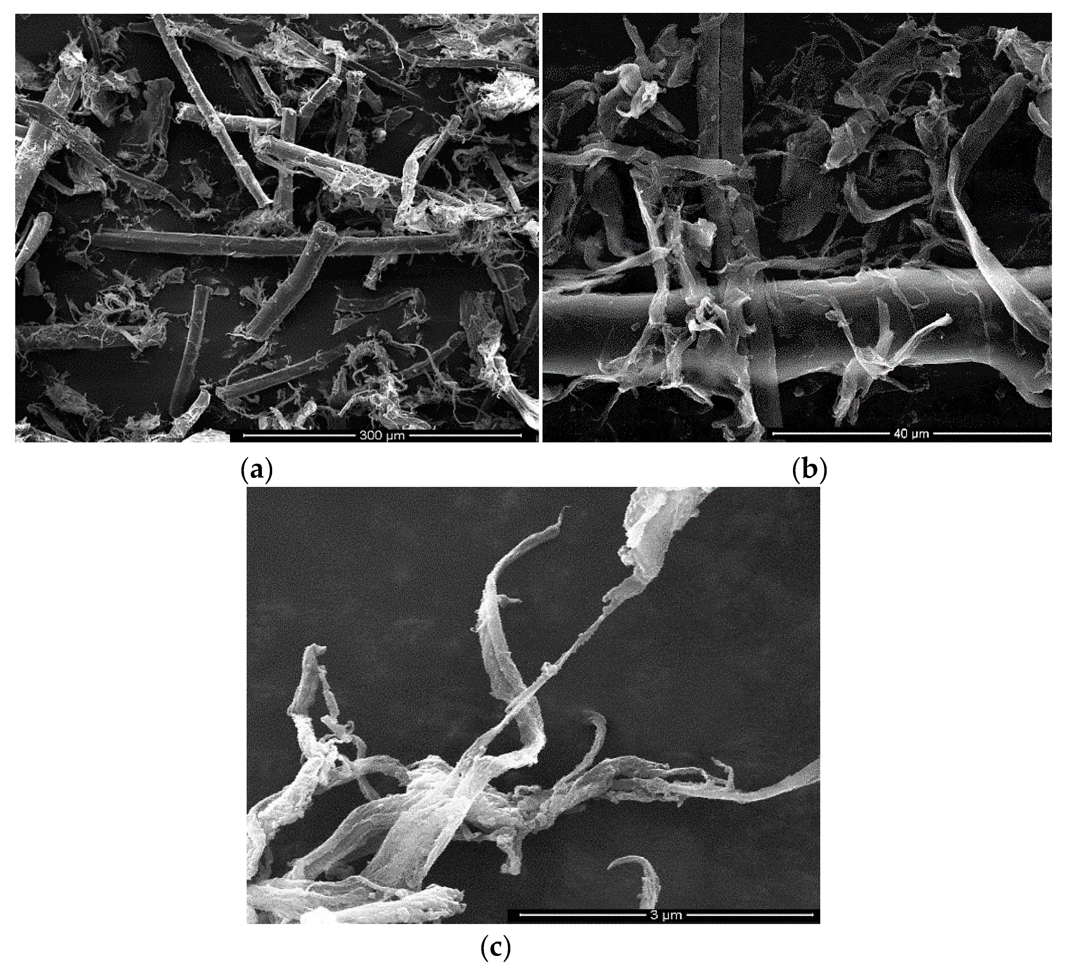 Materials 13 01844 g002