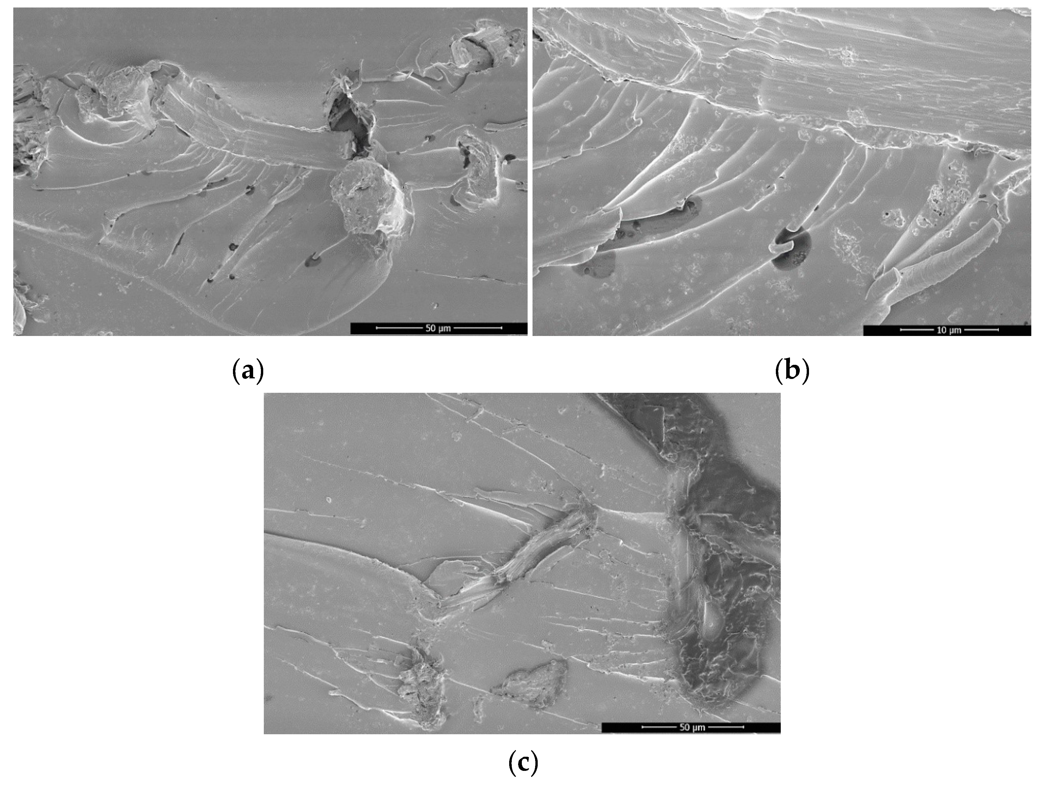 Materials 13 01844 g005