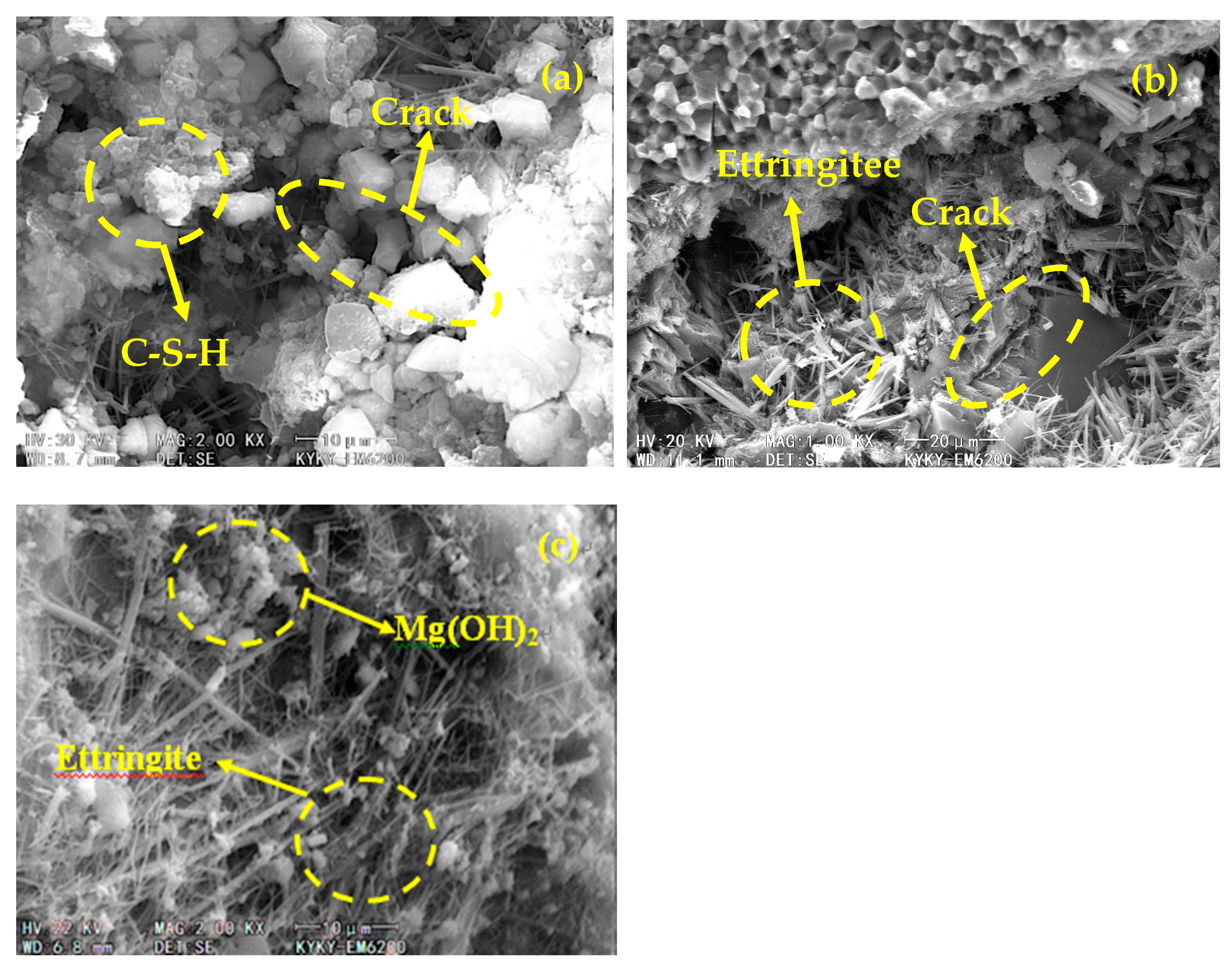 Materials 13 01850 g006