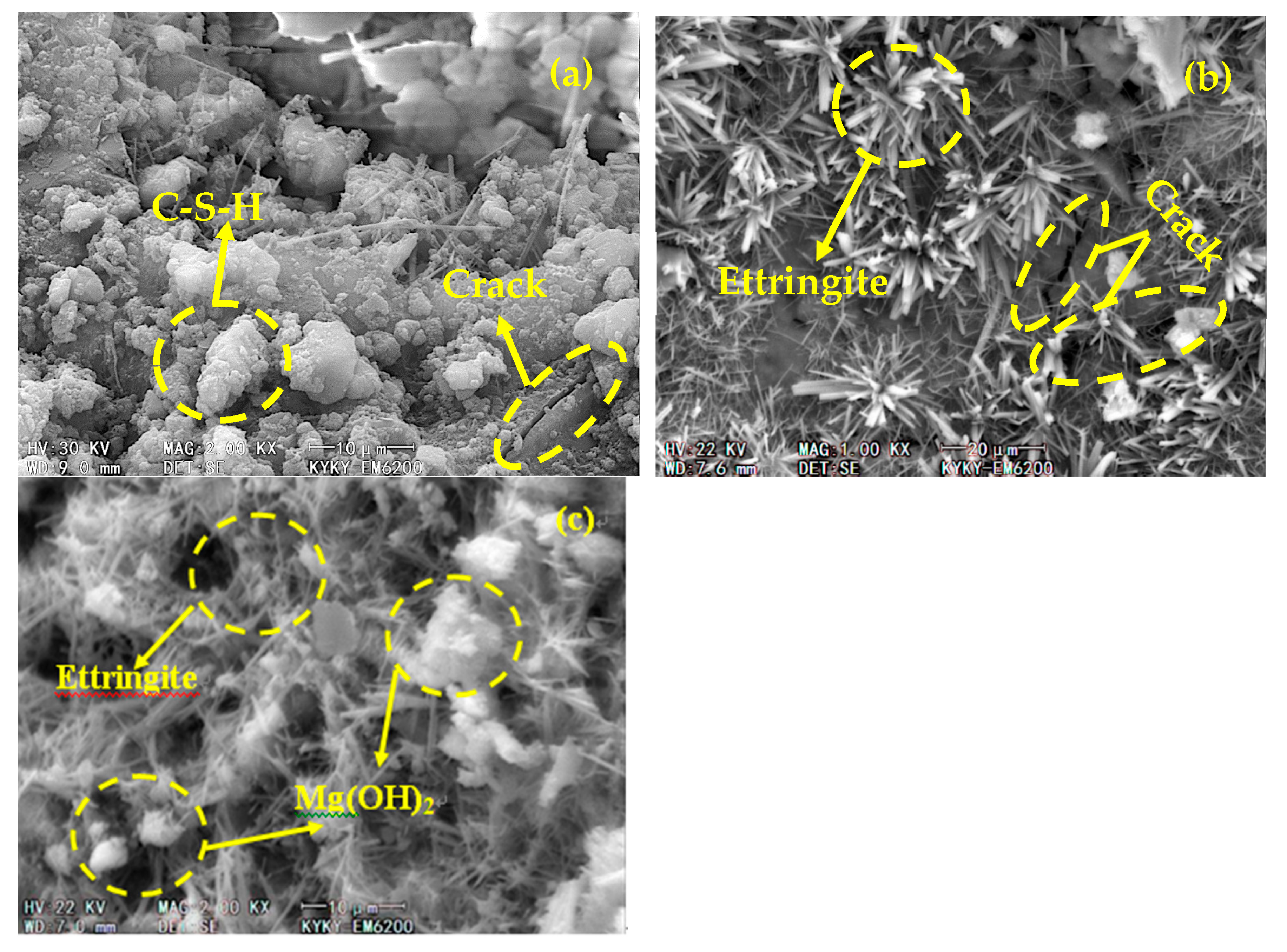 Materials 13 01850 g007