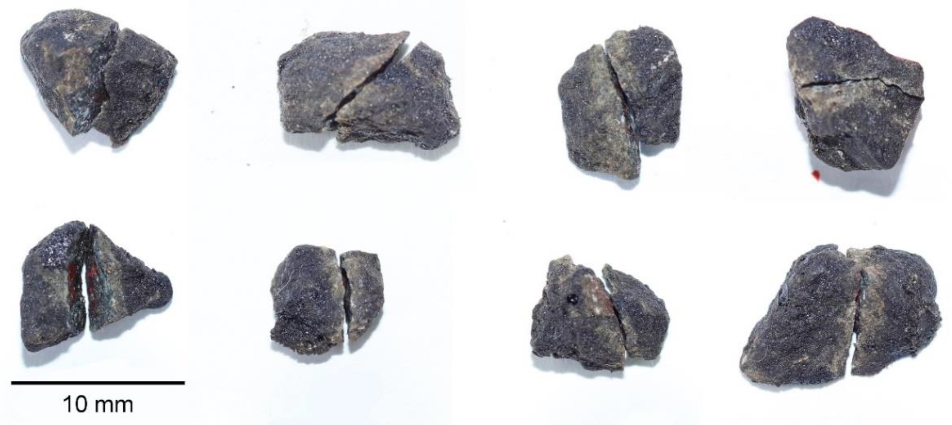 Materials 13 01876 g017