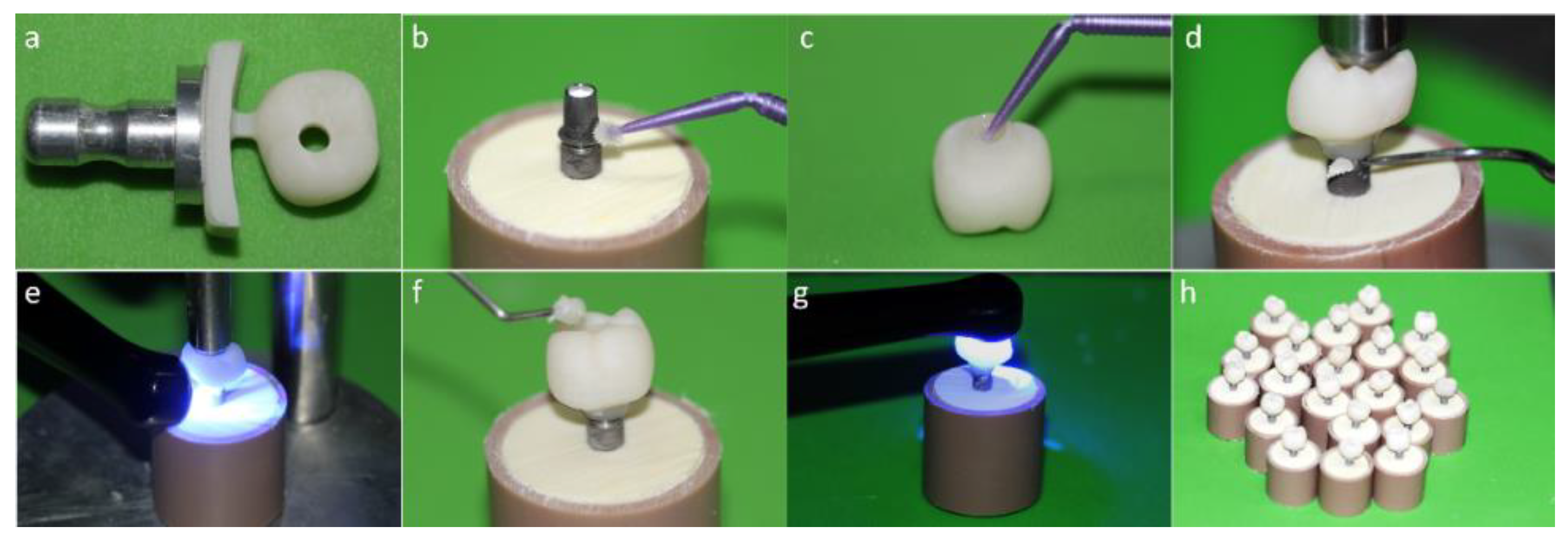Materials 13 01879 g003
