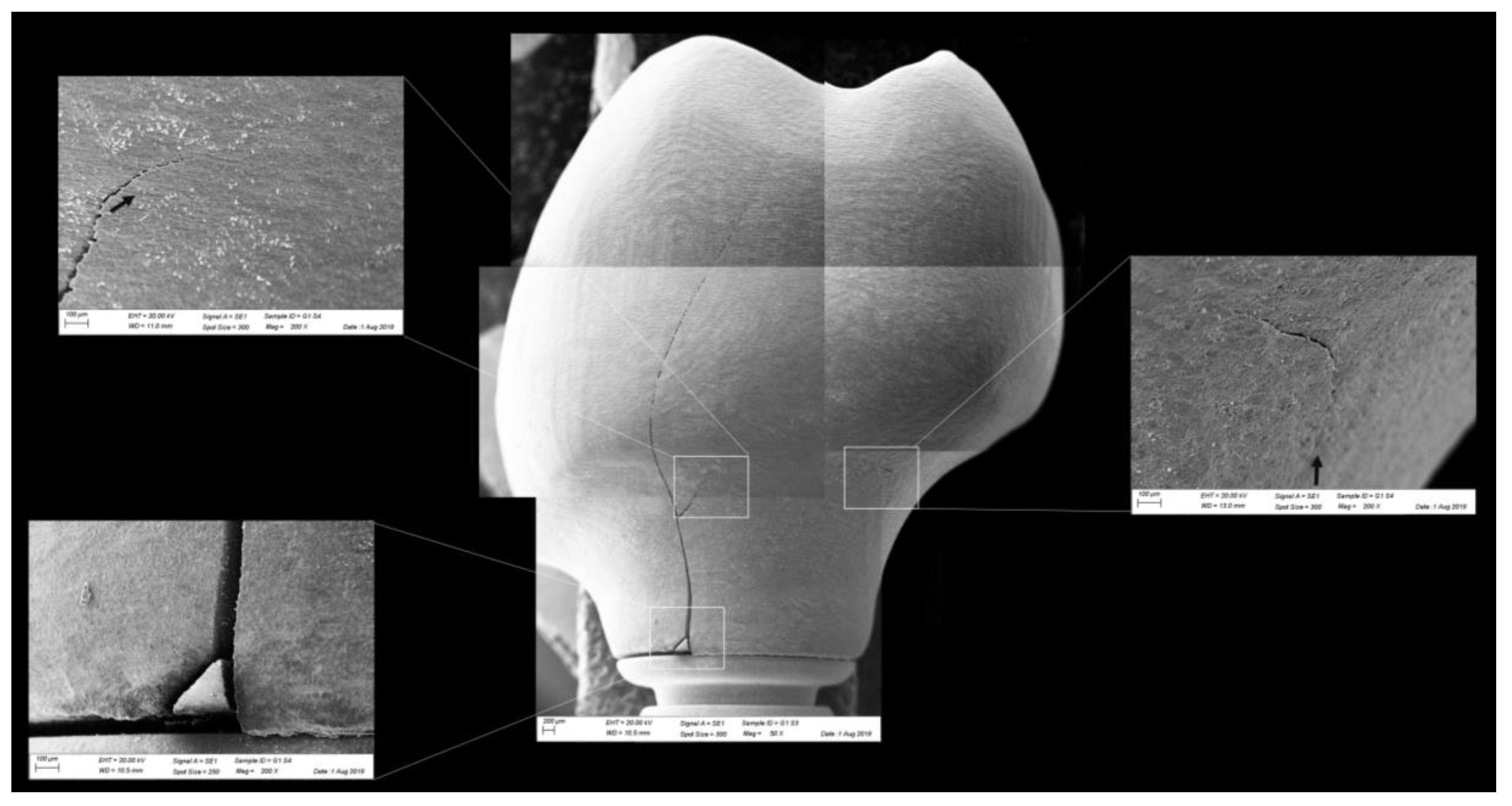 Materials 13 01879 g009