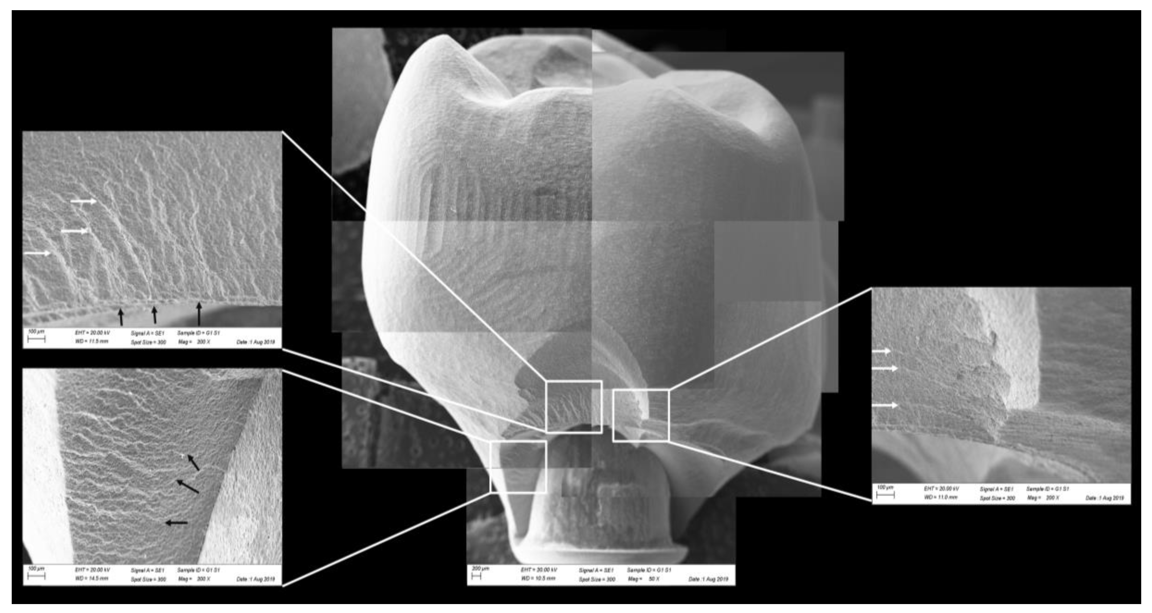 Materials 13 01879 g010