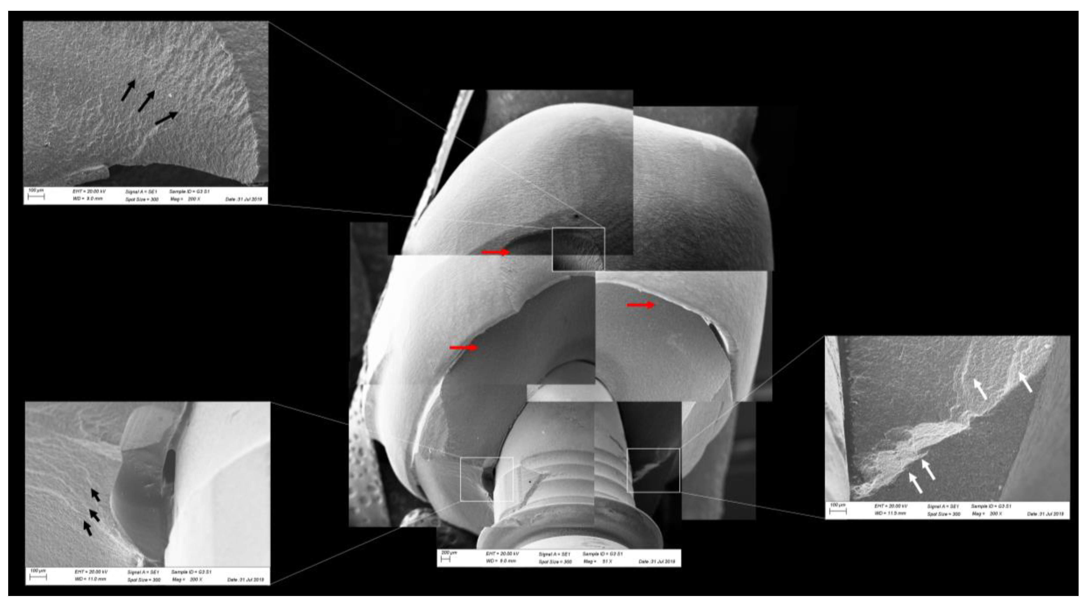 Materials 13 01879 g012