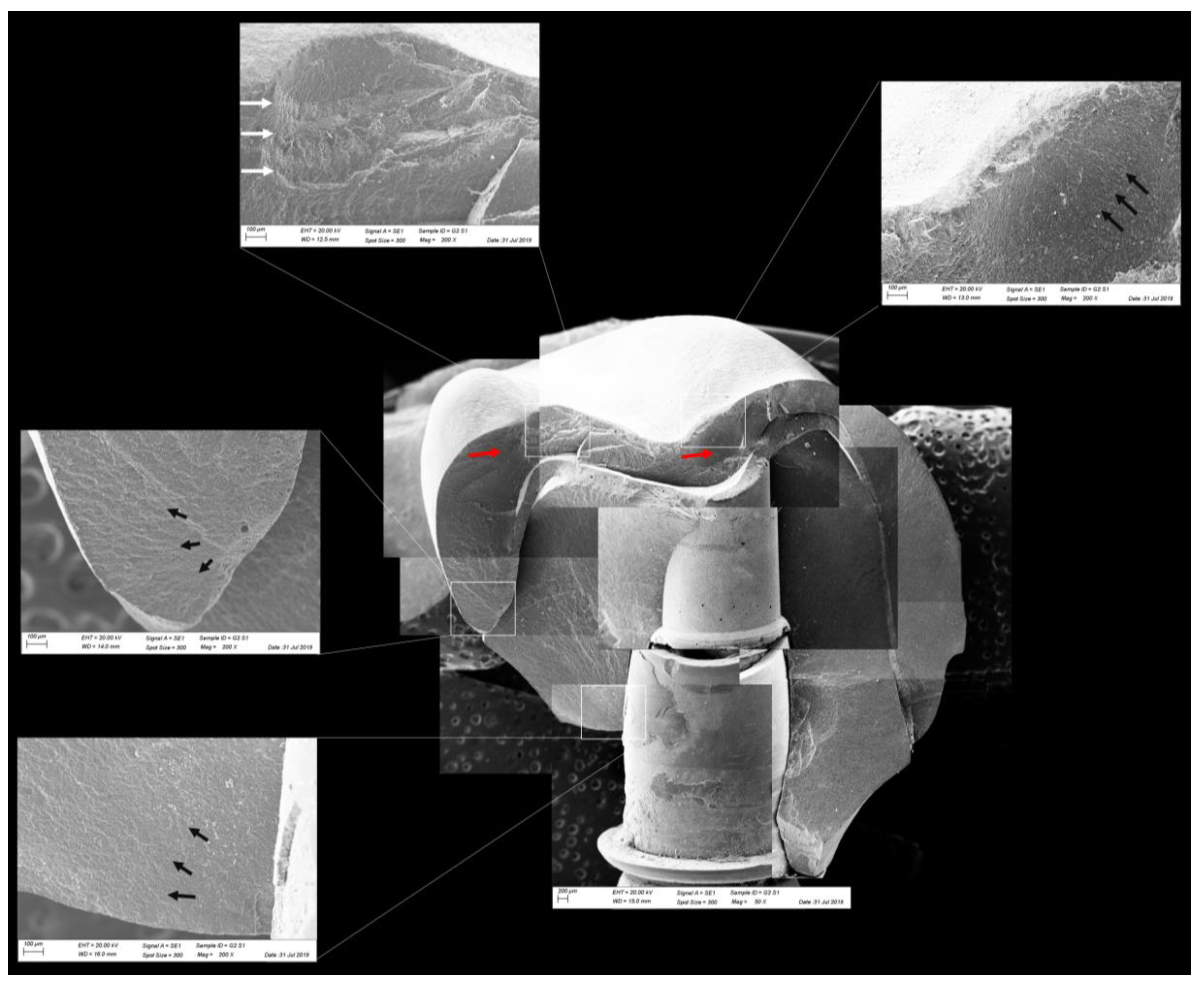 Materials 13 01879 g013