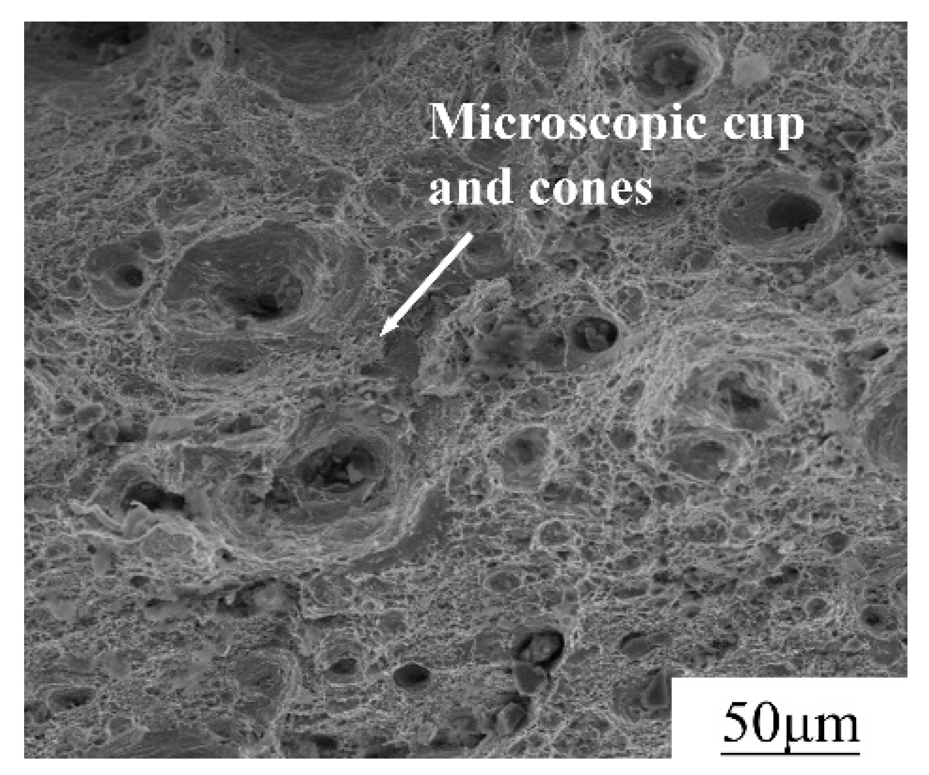 Materials 13 01901 g006 Materials 13 01901 g006