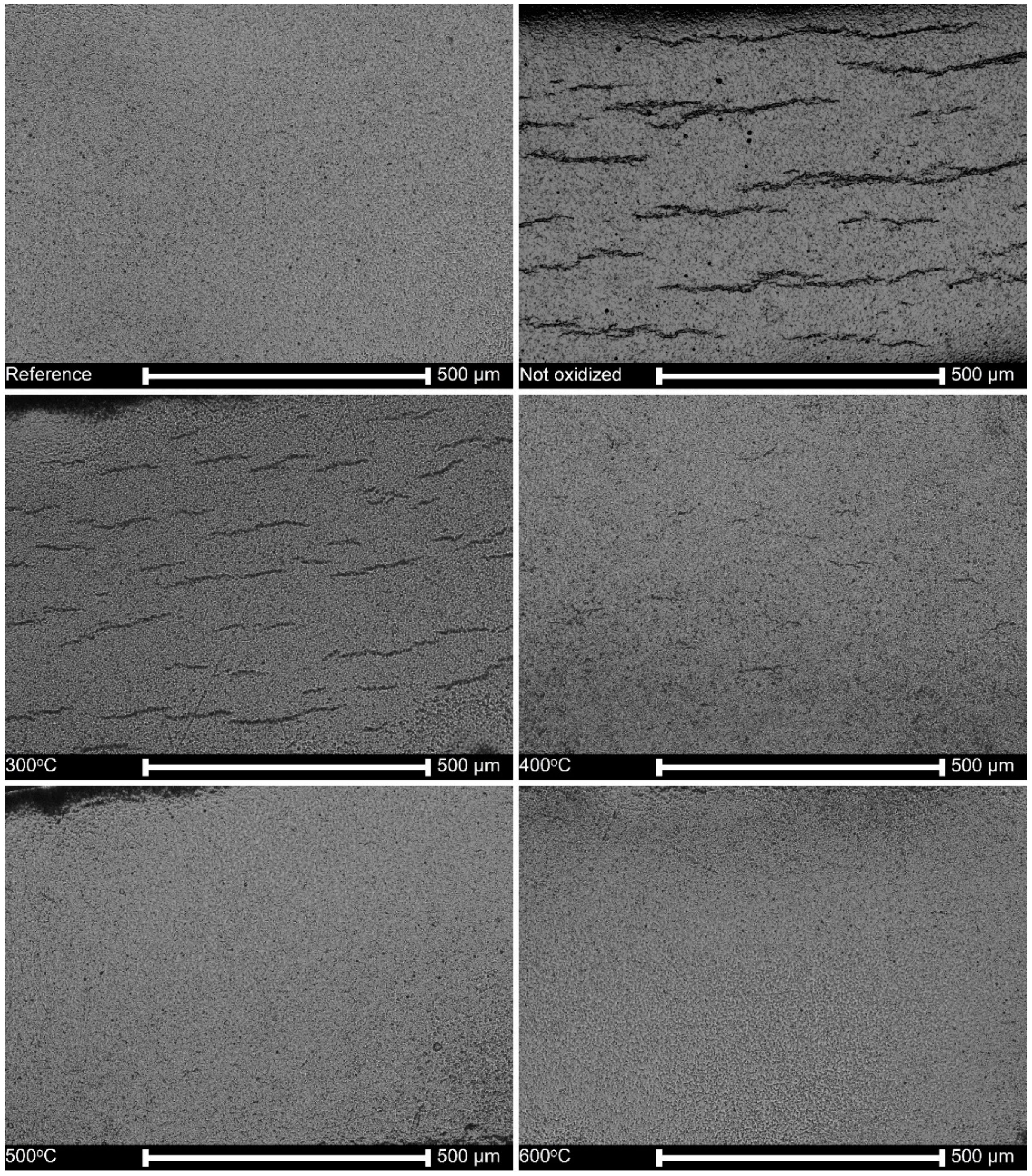 Materials 13 01913 g007