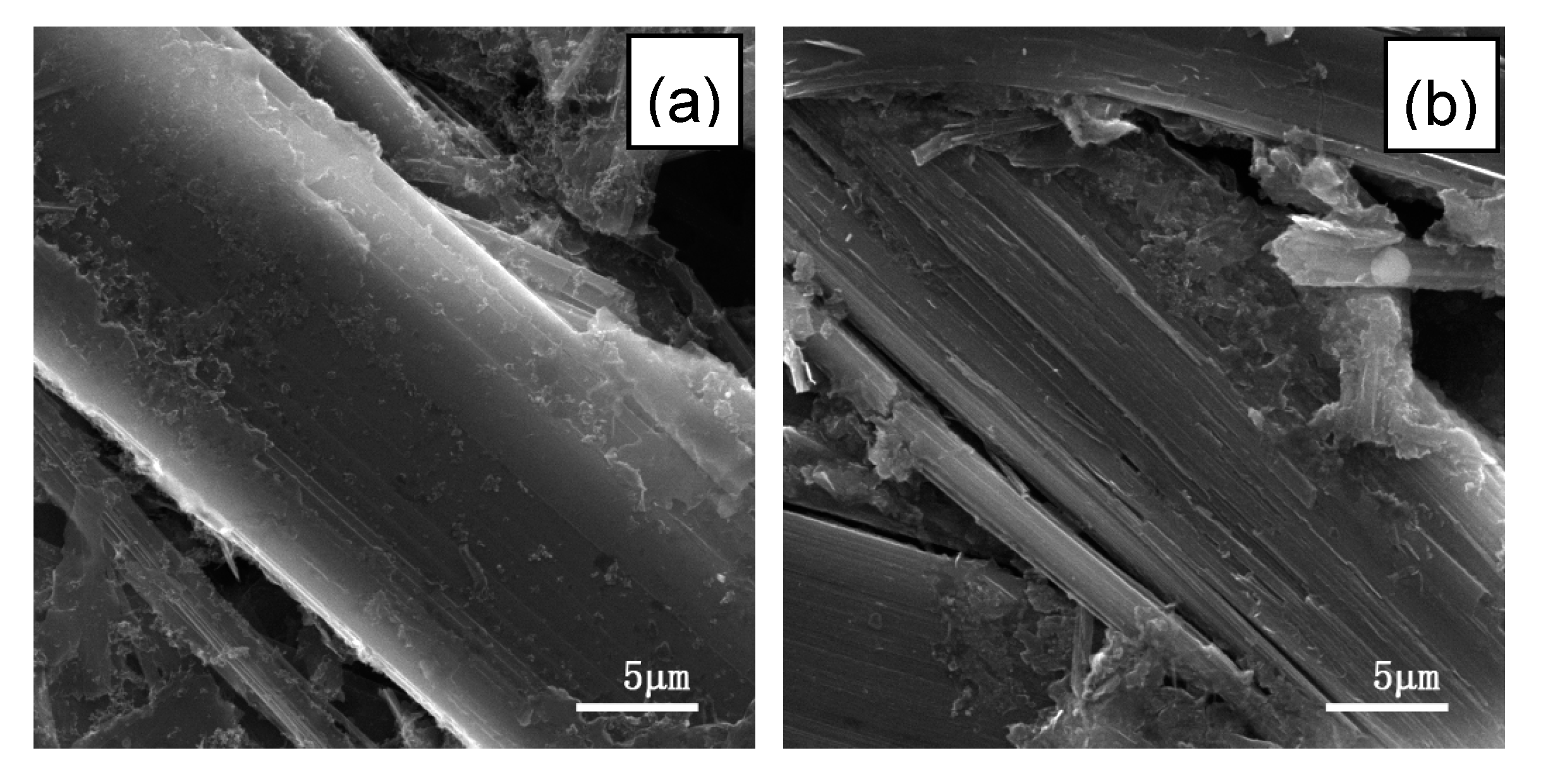 Materials 13 01933 g005