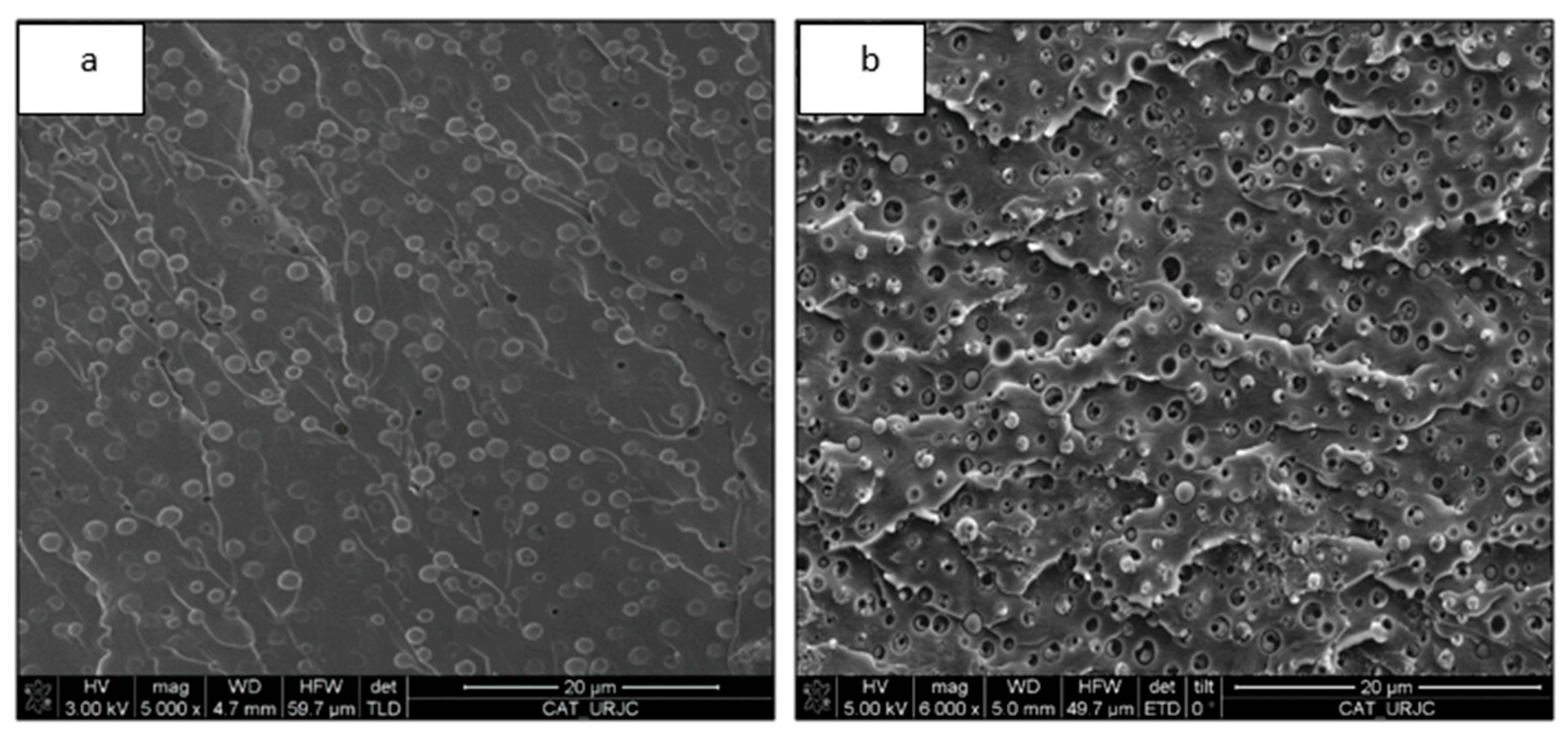 Materials 13 01941 g006