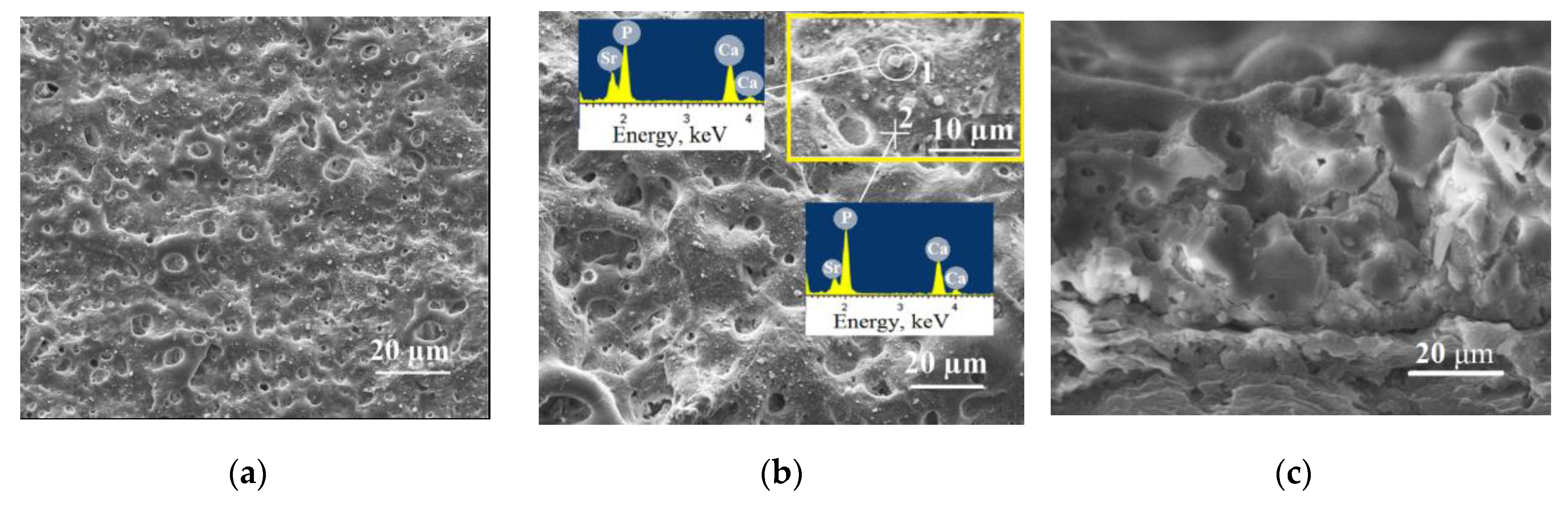 Materials 13 01942 g002a