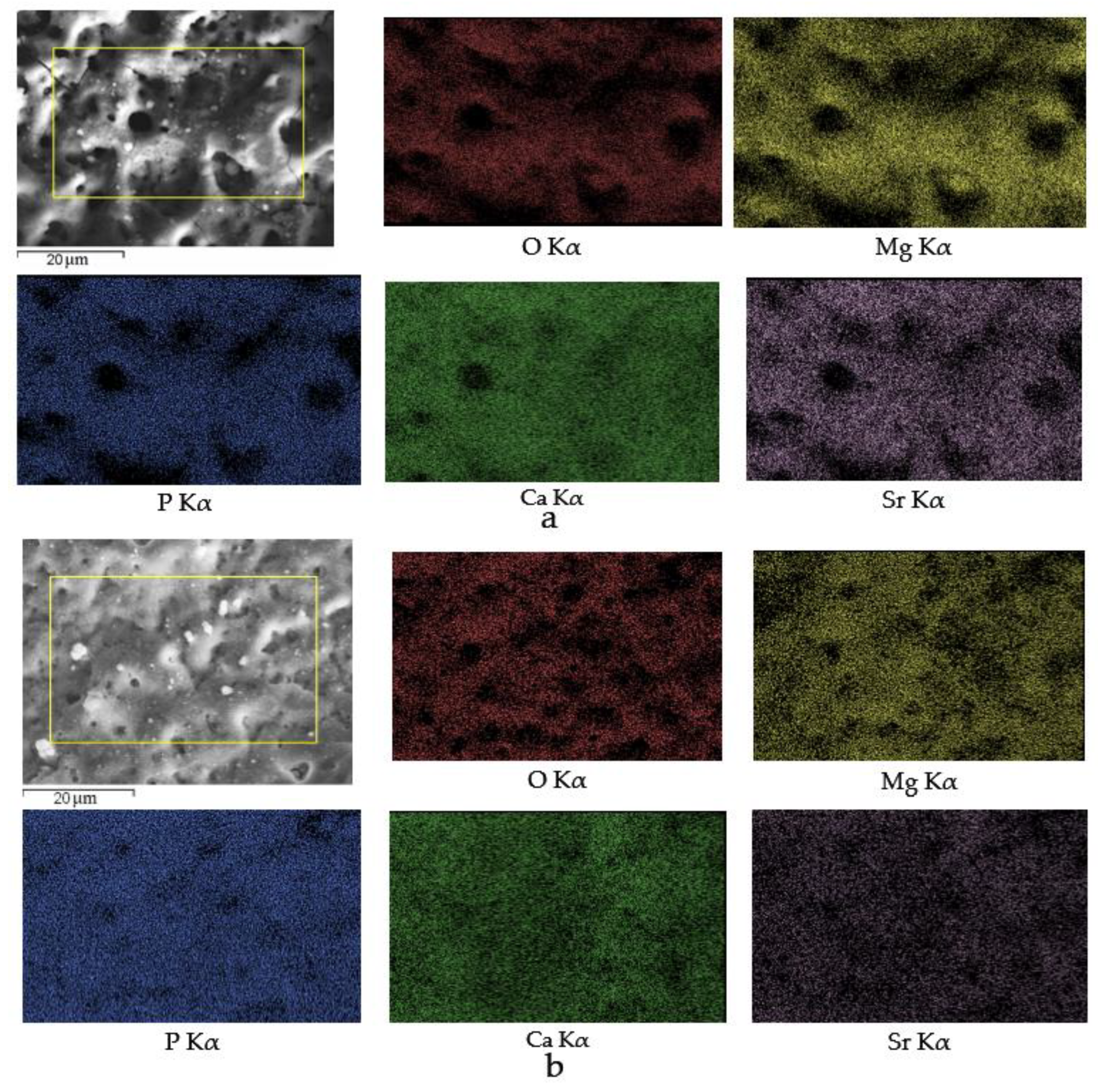 Materials 13 01942 g007