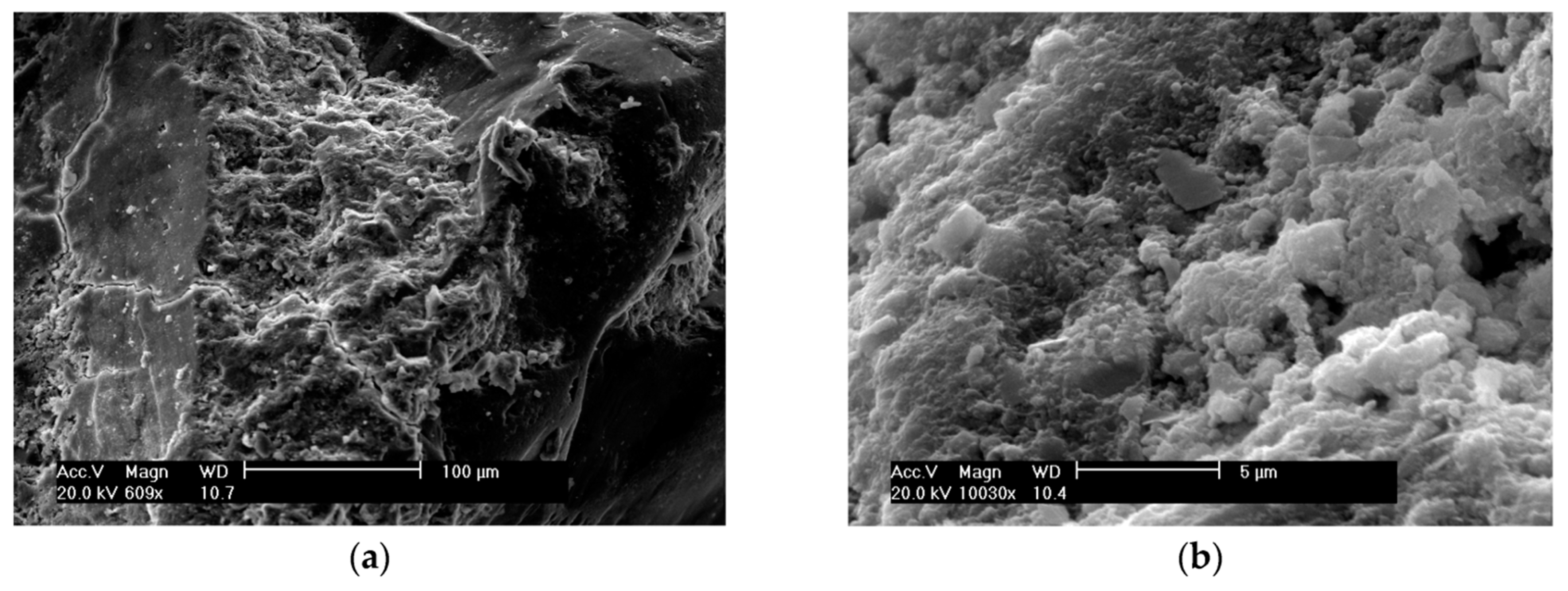 Materials 13 01954 g009