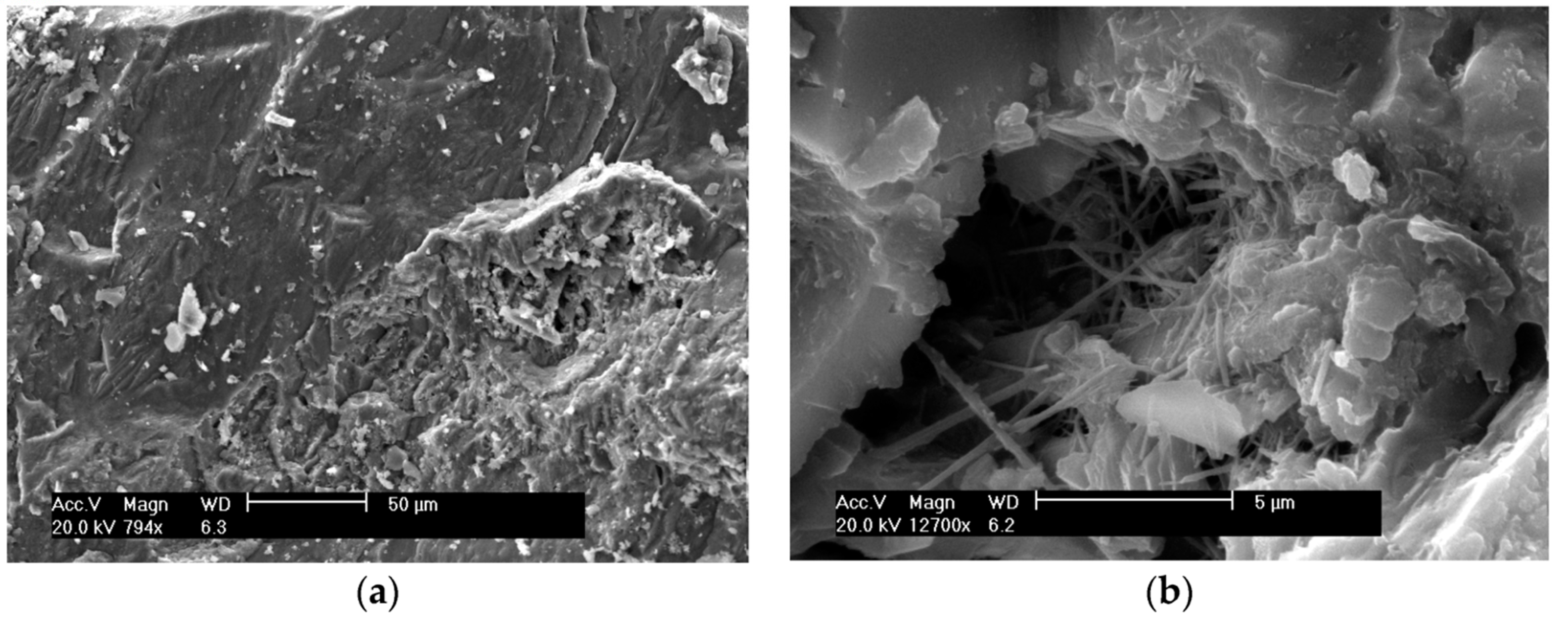 Materials 13 01954 g010