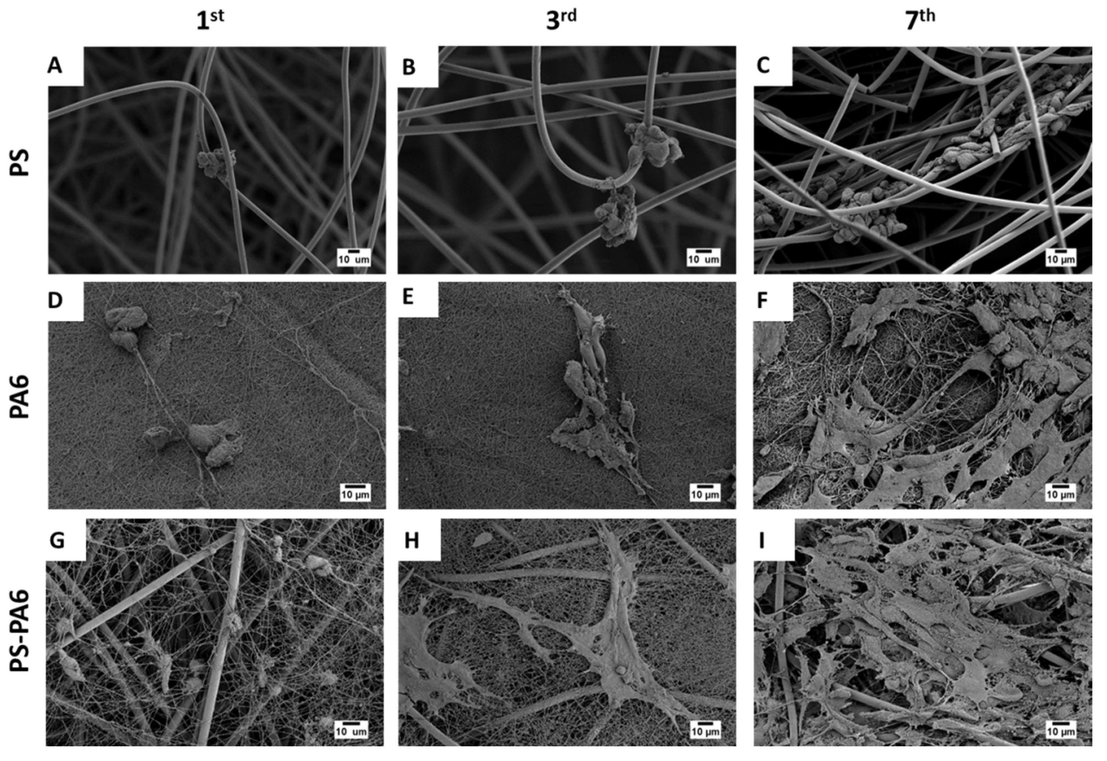 Materials 13 01974 g003