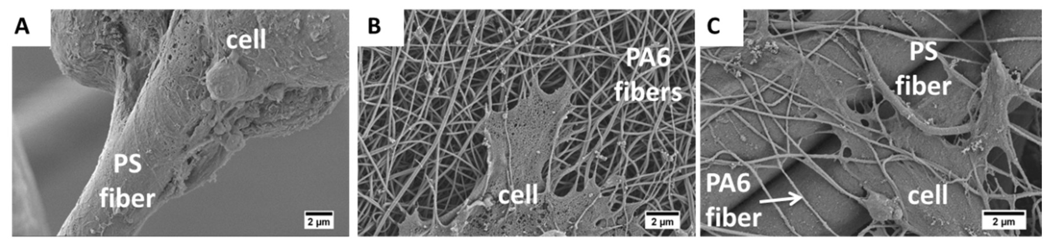 Materials 13 01974 g005