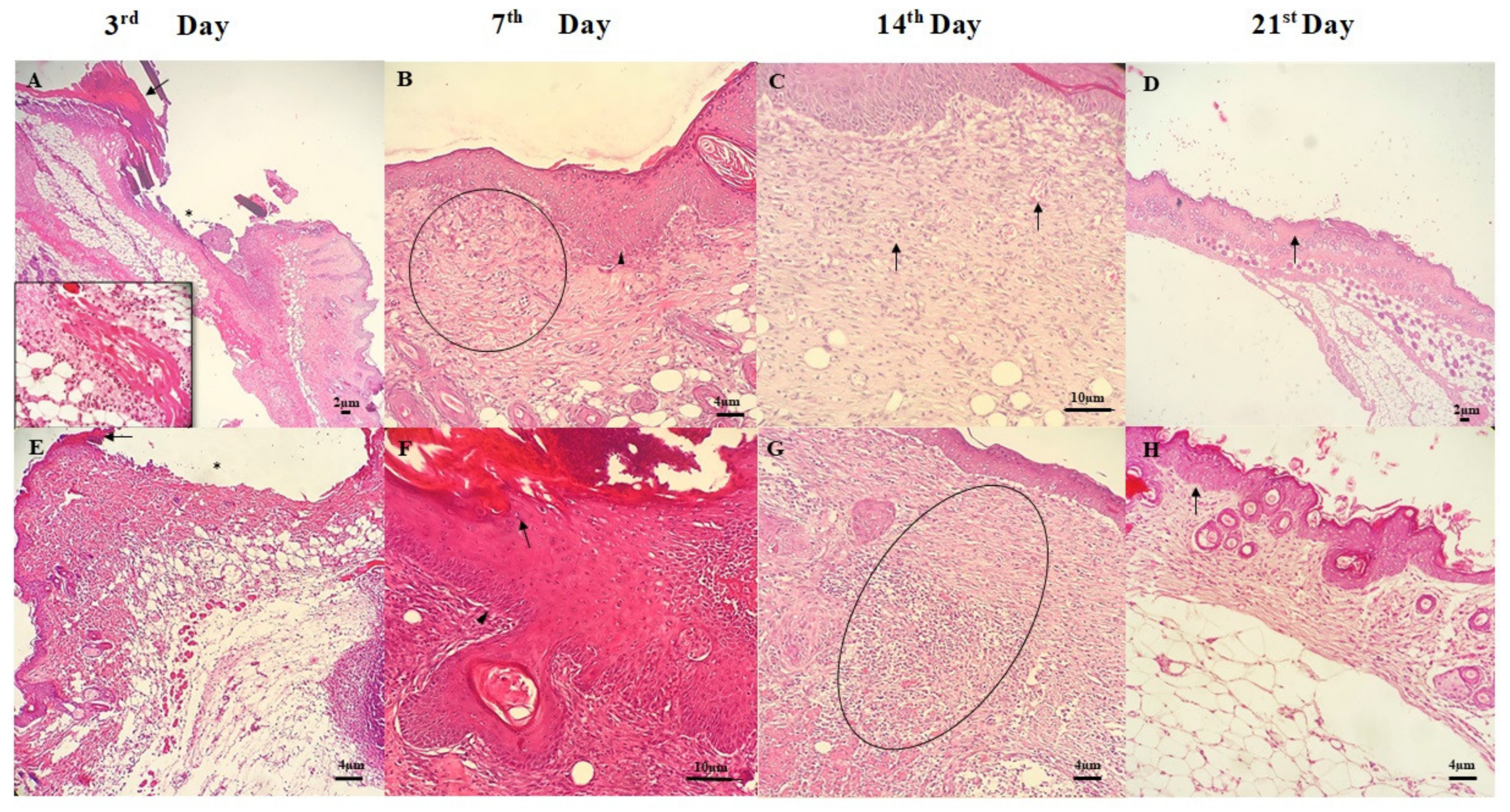 Materials 13 01977 g005