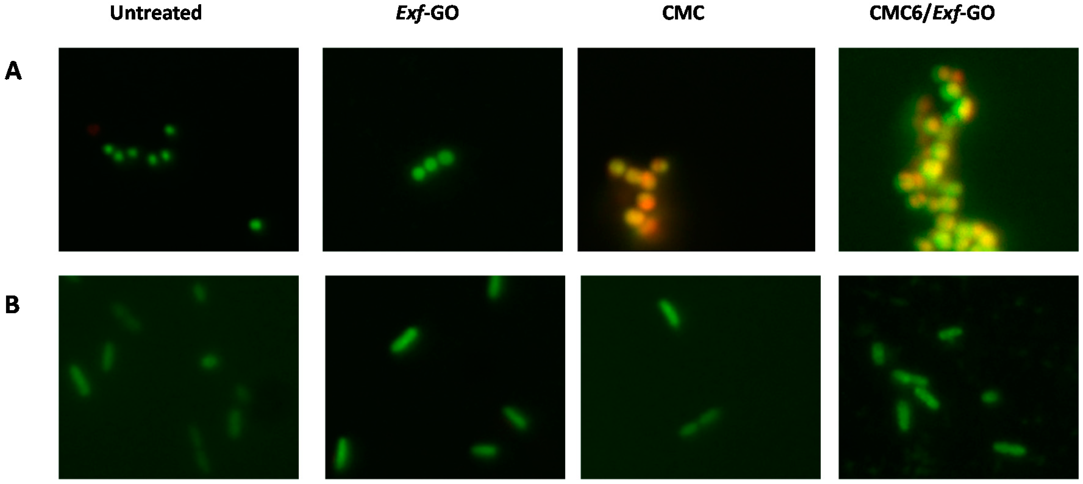 Materials 13 01980 g008