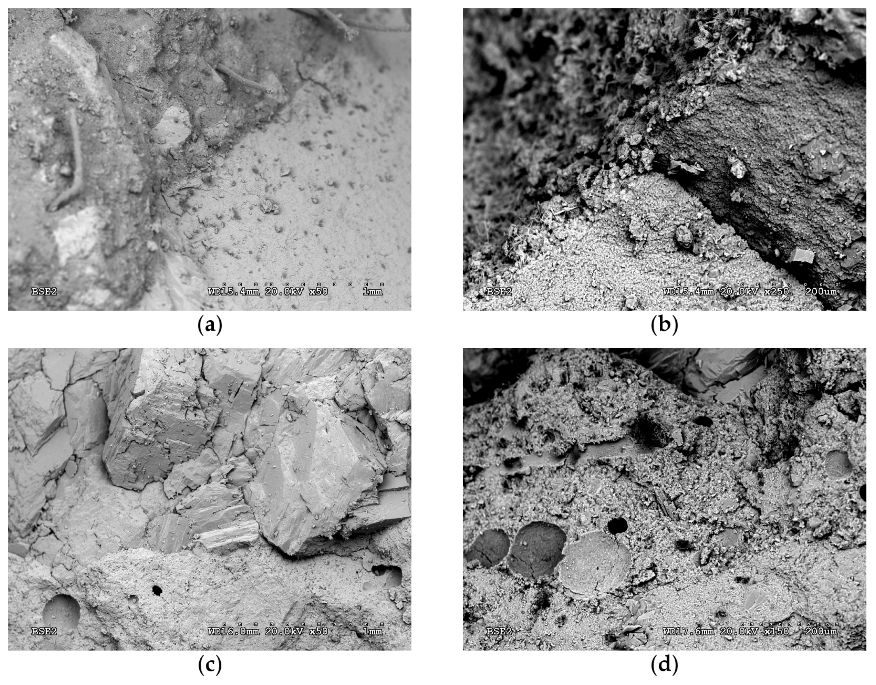 Materials 13 01981 g007 Materials 13 01981 g007